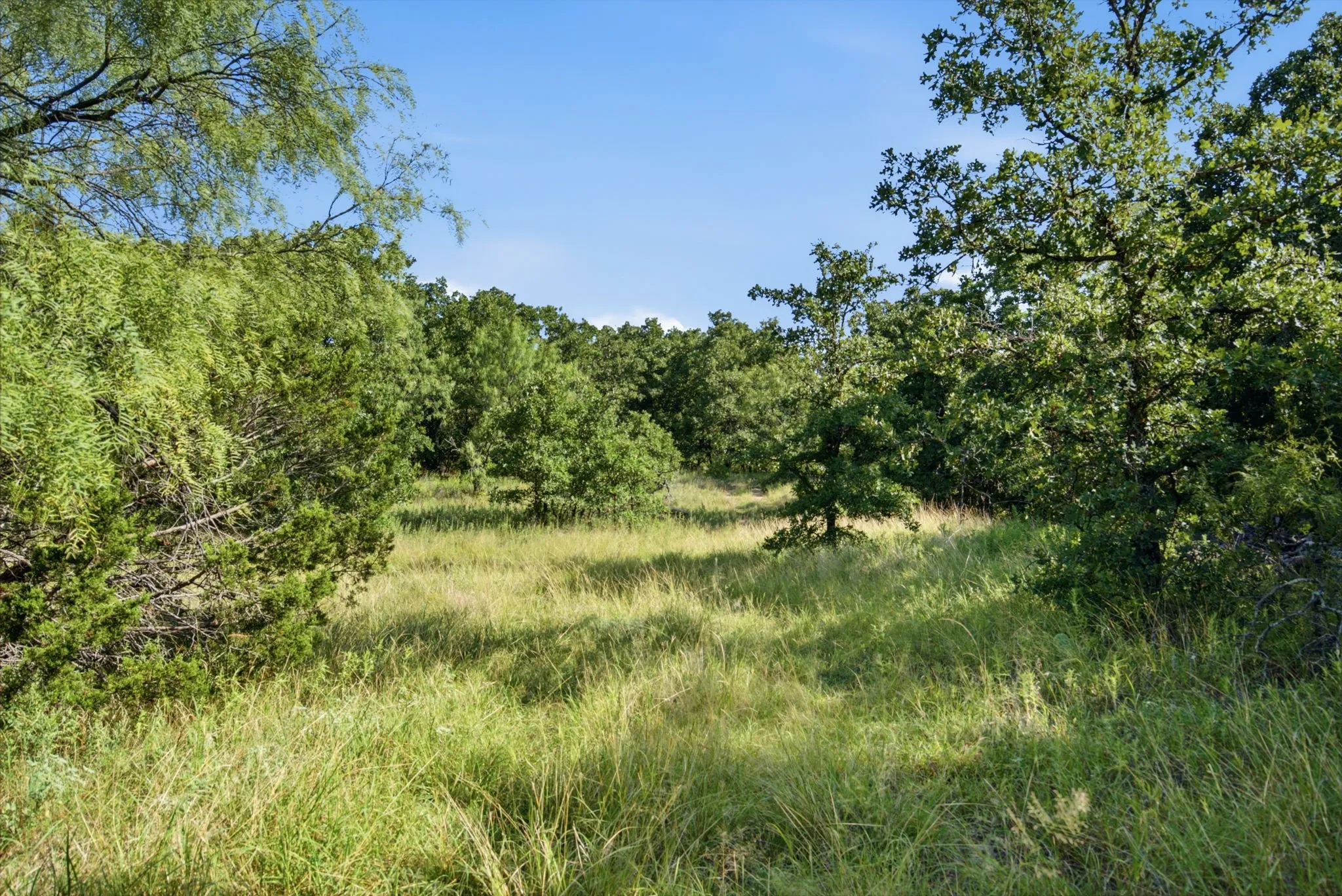 Farm For Sale in Eastland County , 1718 County Road 143, Cisco, Texas 76437, 2 Bedroom, 2 Bathroom, Garage spaces, 1,400 Sqft, built in 2002, mls#21339530, Real Estate Agent in Cisco, Homes For Sale in Eastland county, Homes For Sale in Cisco, Realtor in Cisco Texas, Real Estate Brokerage Independent Realty Texas, Luminita Cordes Realtor