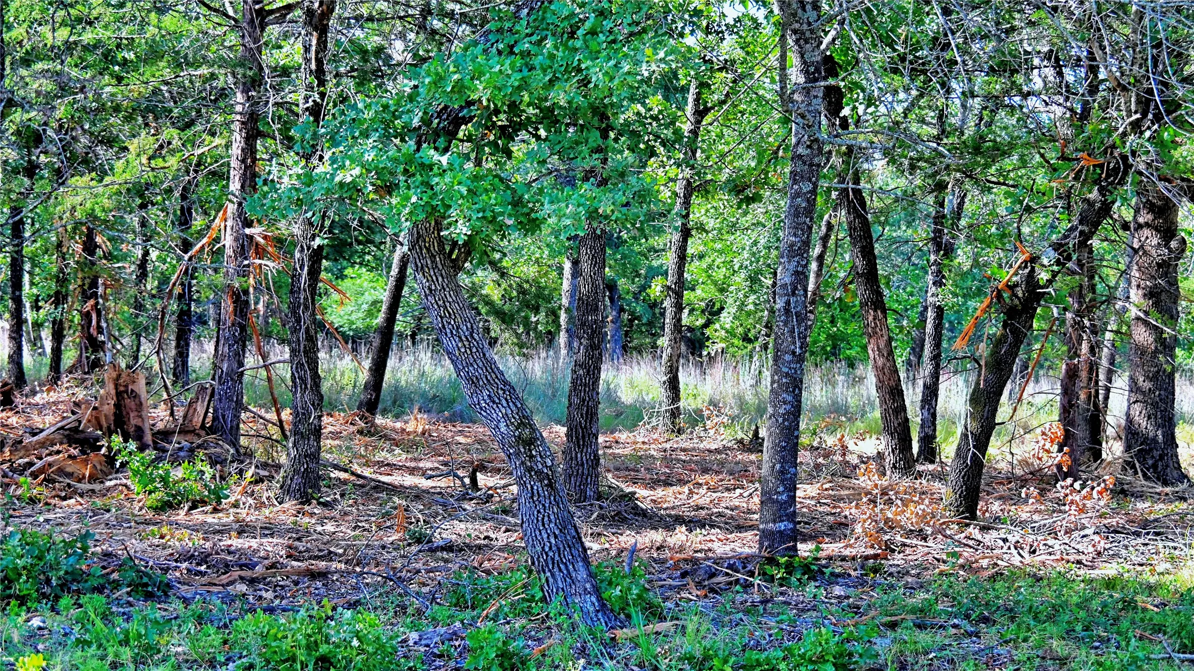 Unimproved Land For Sale in Montague County , Lots 352-354 Preserve Court, Sunset, Texas 76270, 0, 0, Garage spaces, 0 Sqft, built in 0, mls#21339446, Real Estate Agent in Sunset, Homes For Sale in Montague county, Homes For Sale in Sunset, Realtor in Sunset Texas, Real Estate Brokerage Independent Realty Texas, Luminita Cordes Realtor