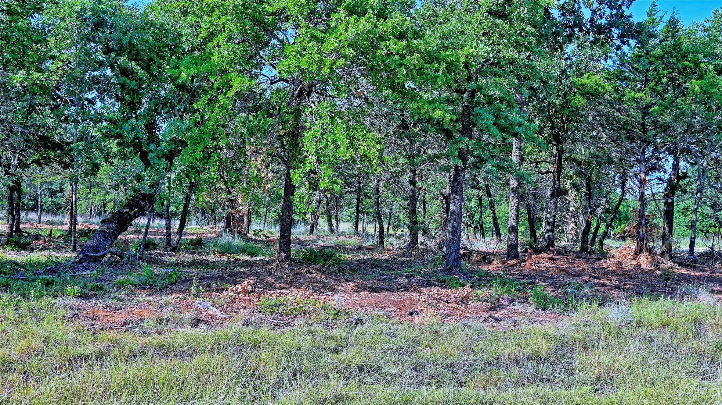 Unimproved Land For Sale in Montague County , Lots 352-354 Preserve Court, Sunset, Texas 76270, 0, 0, Garage spaces, 0 Sqft, built in 0, mls#21339446, Real Estate Agent in Sunset, Homes For Sale in Montague county, Homes For Sale in Sunset, Realtor in Sunset Texas, Real Estate Brokerage Independent Realty Texas, Luminita Cordes Realtor