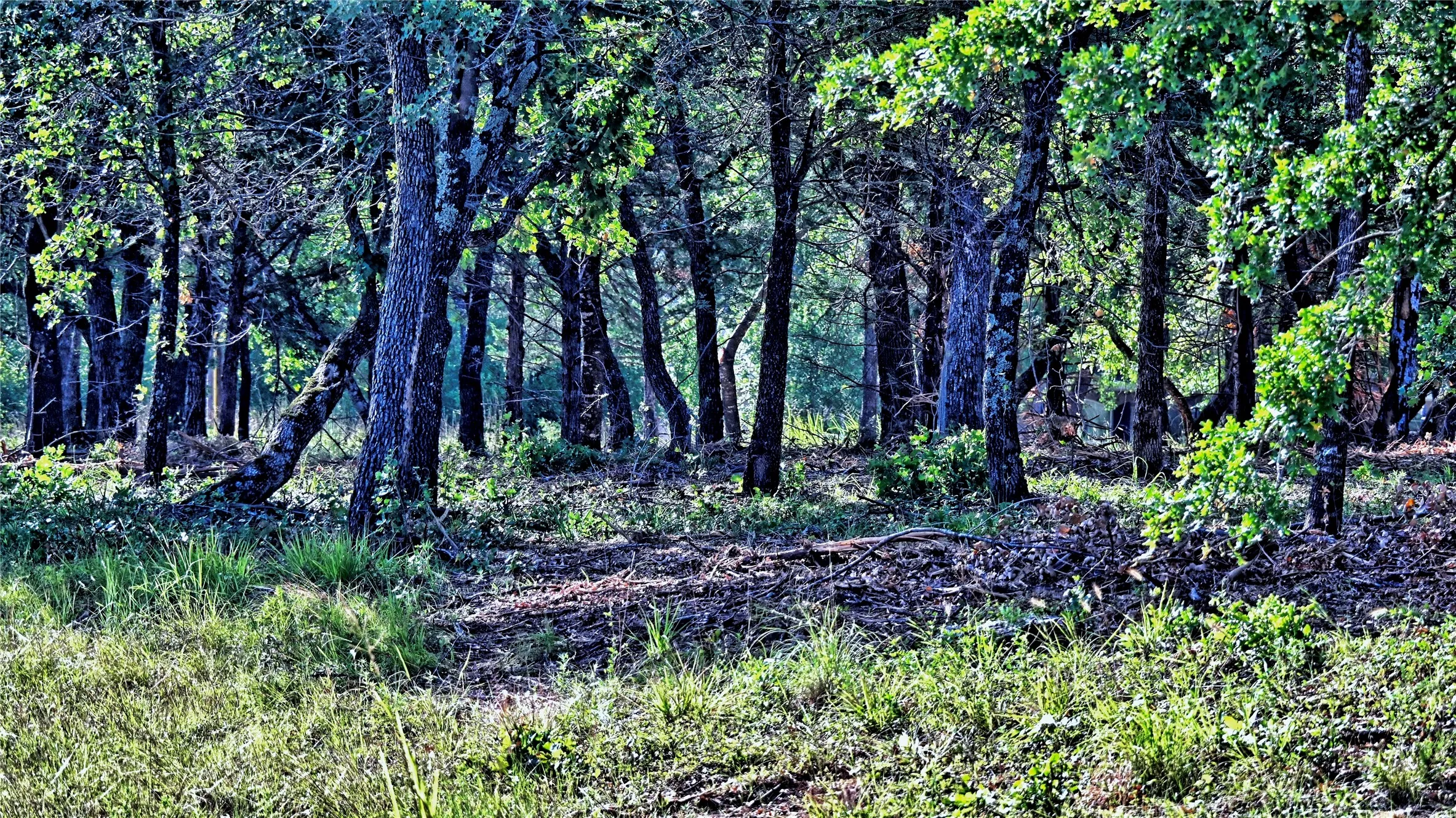 Behind property