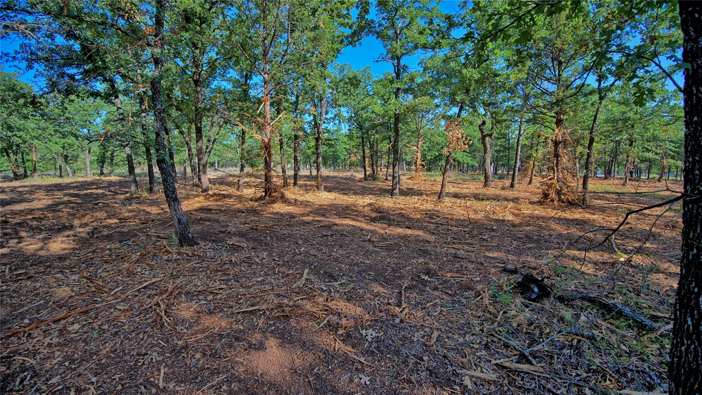 Unimproved Land For Sale in Montague County , Lots 352-354 Preserve Court, Sunset, Texas 76270, 0, 0, Garage spaces, 0 Sqft, built in 0, mls#21339446, Real Estate Agent in Sunset, Homes For Sale in Montague county, Homes For Sale in Sunset, Realtor in Sunset Texas, Real Estate Brokerage Independent Realty Texas, Luminita Cordes Realtor