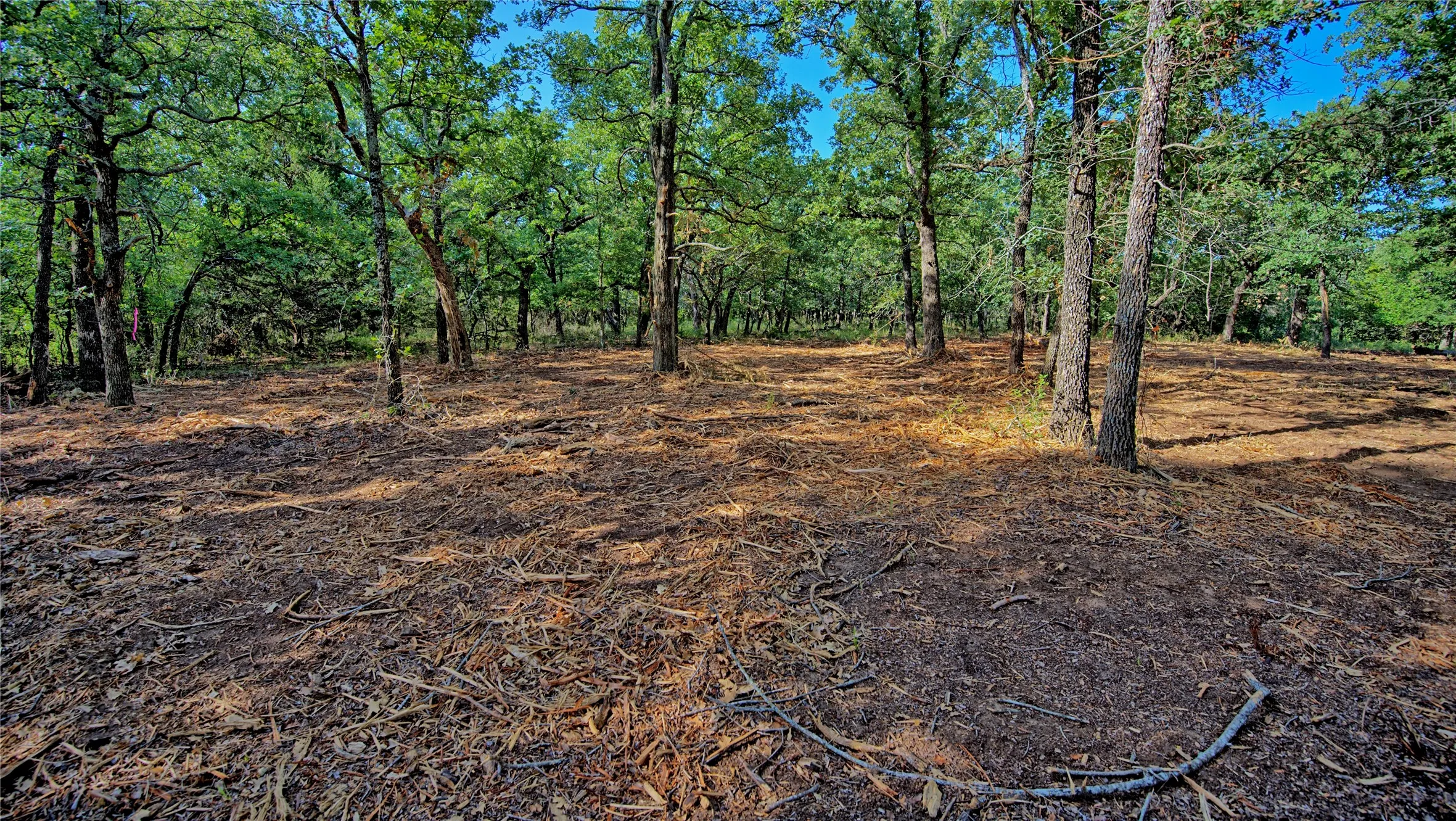 Unimproved Land For Sale in Montague County , Lots 352-354 Preserve Court, Sunset, Texas 76270, 0, 0, Garage spaces, 0 Sqft, built in 0, mls#21339446, Real Estate Agent in Sunset, Homes For Sale in Montague county, Homes For Sale in Sunset, Realtor in Sunset Texas, Real Estate Brokerage Independent Realty Texas, Luminita Cordes Realtor