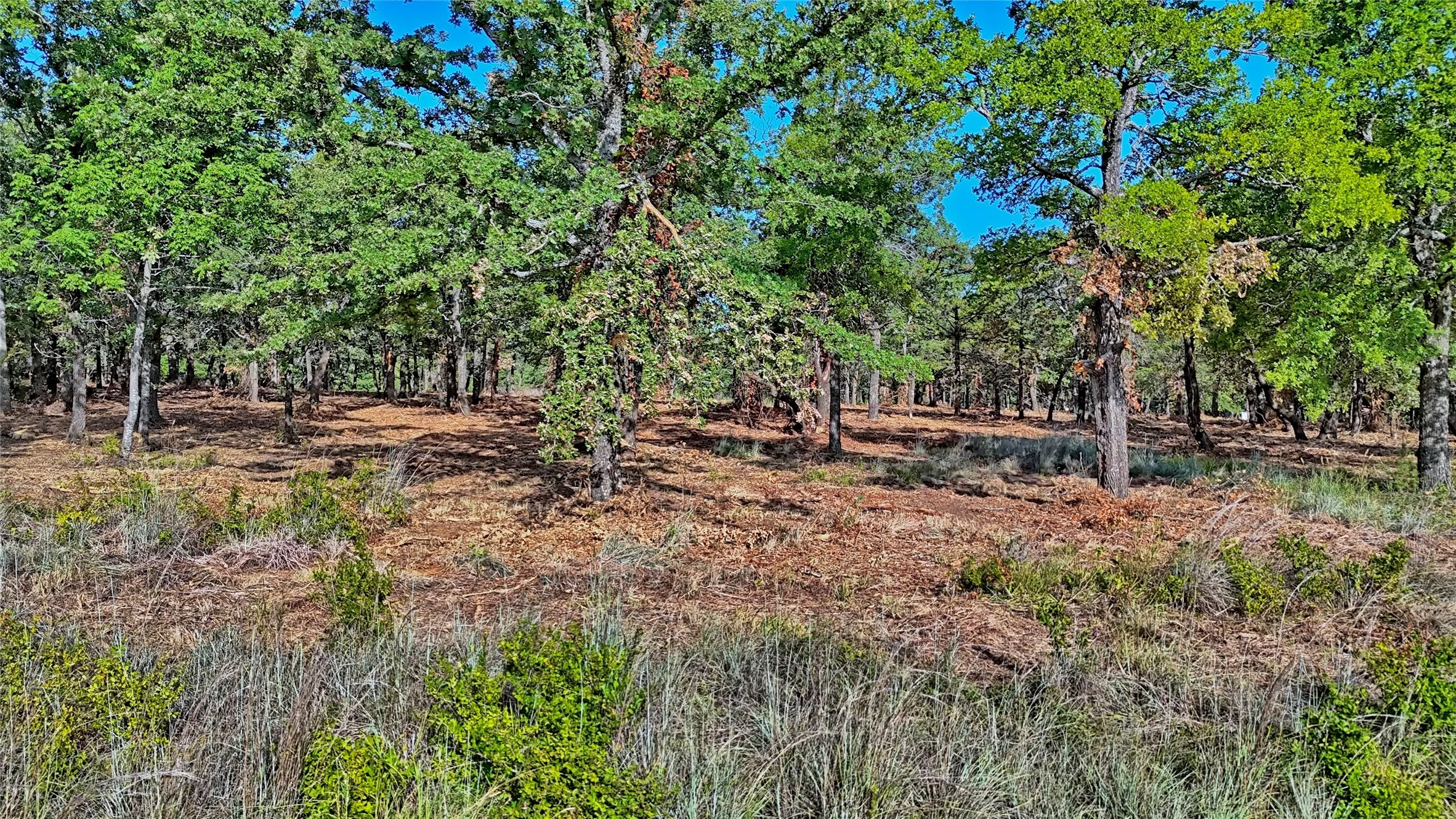 Unimproved Land For Sale in Montague County , Lots 352-354 Preserve Court, Sunset, Texas 76270, 0, 0, Garage spaces, 0 Sqft, built in 0, mls#21339446, Real Estate Agent in Sunset, Homes For Sale in Montague county, Homes For Sale in Sunset, Realtor in Sunset Texas, Real Estate Brokerage Independent Realty Texas, Luminita Cordes Realtor