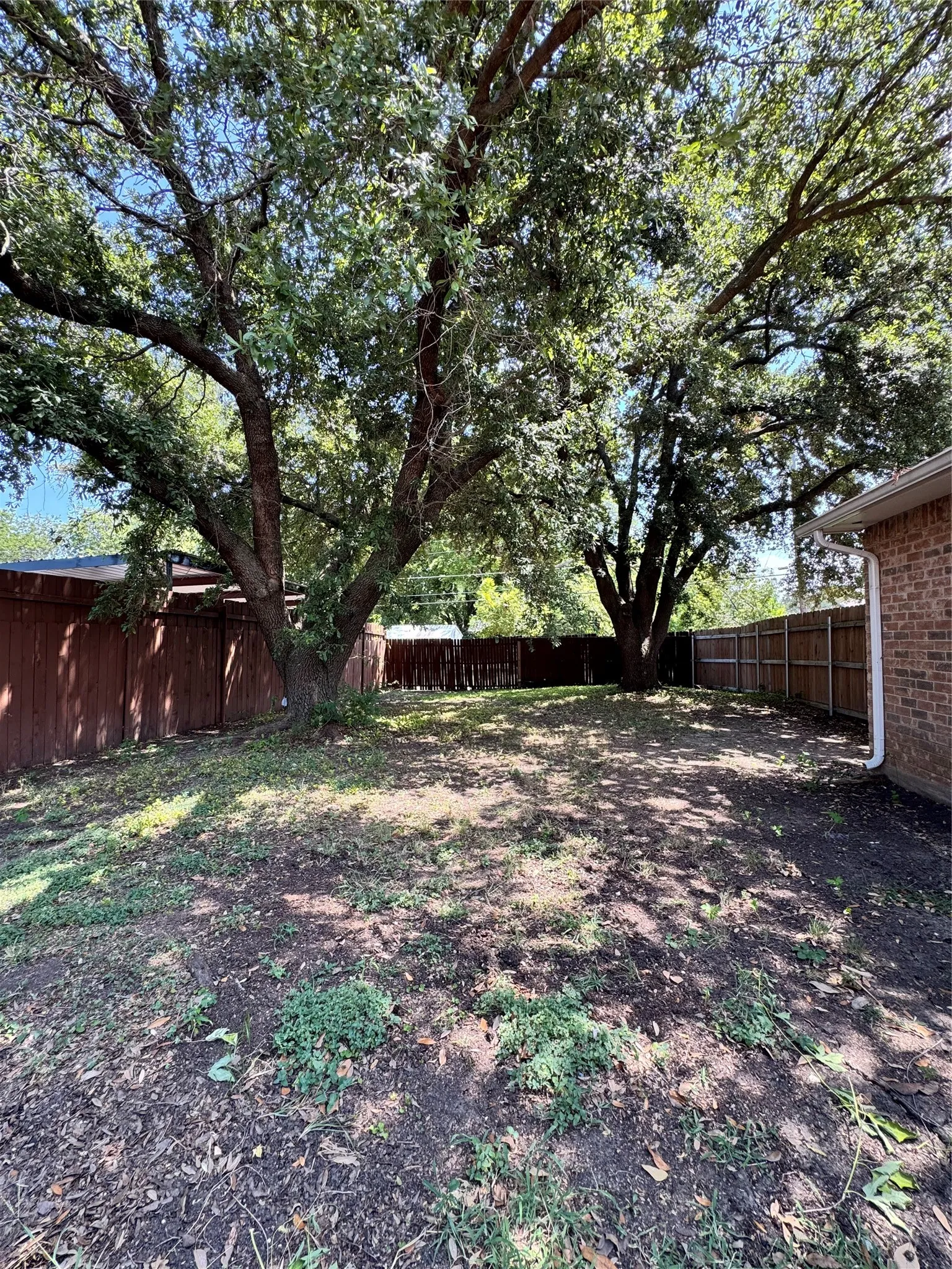 Expansive backyard featuring mature trees providing natural canopy