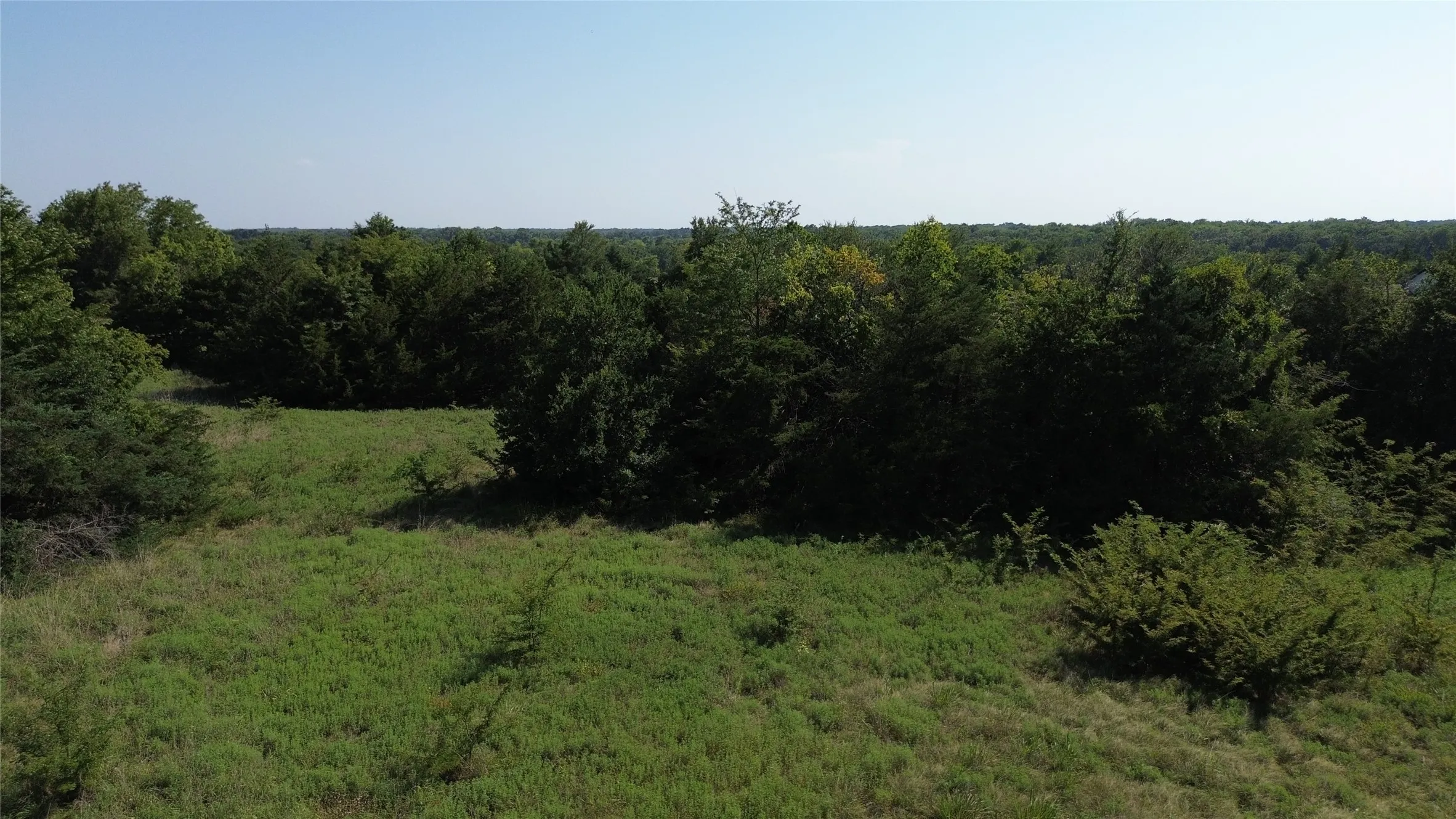 Unimproved Land For Sale in Fannin County , 4770 County Road 2900, Dodd City, Texas 75438, 0, 0, Garage spaces, 0 Sqft, built in 0, mls#21338819, Real Estate Agent in Dodd City, Homes For Sale in Fannin county, Homes For Sale in Dodd City, Realtor in Dodd City Texas, Real Estate Brokerage Independent Realty Texas, Luminita Cordes Realtor