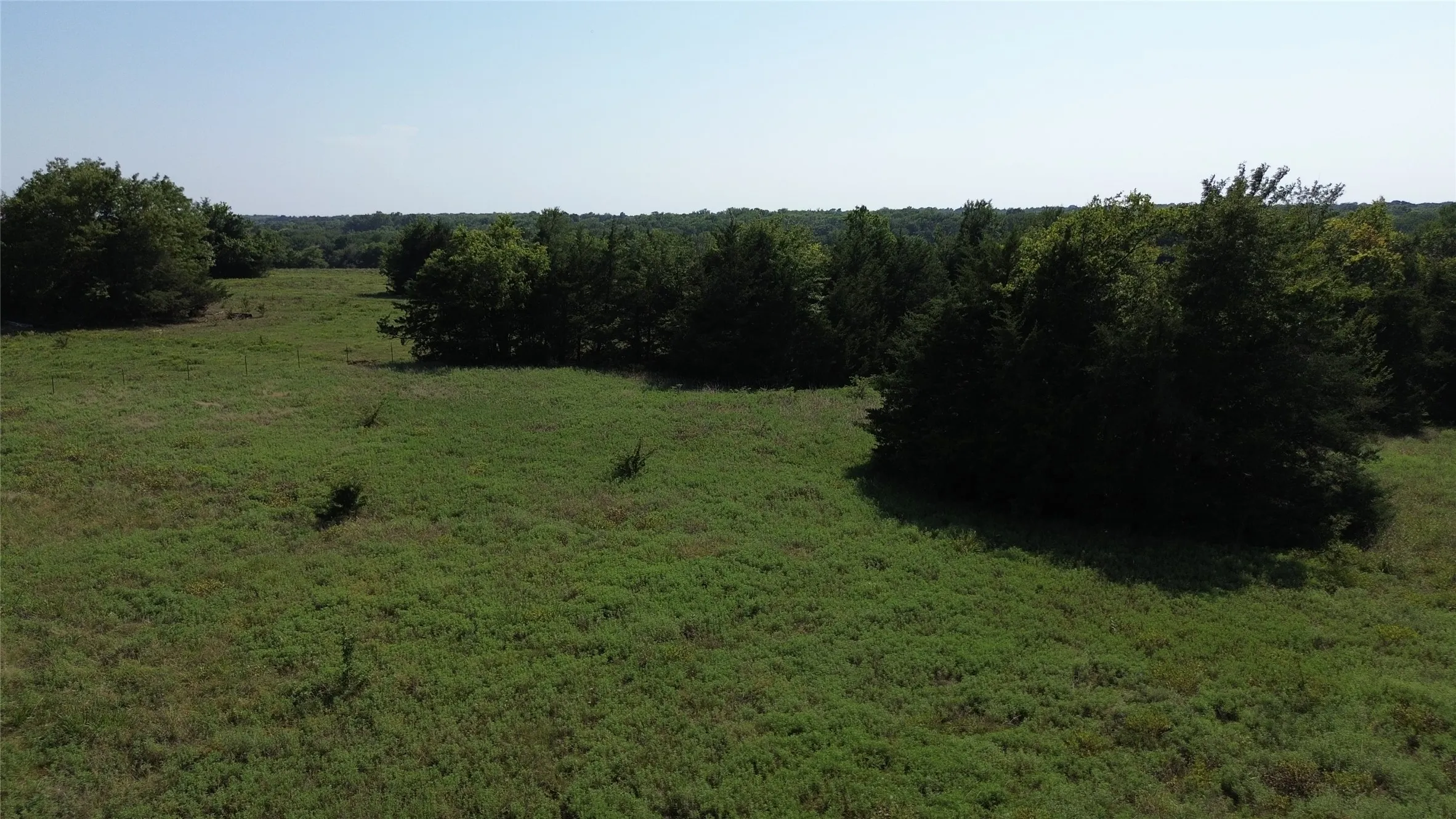 Unimproved Land For Sale in Fannin County , 4770 County Road 2900, Dodd City, Texas 75438, 0, 0, Garage spaces, 0 Sqft, built in 0, mls#21338819, Real Estate Agent in Dodd City, Homes For Sale in Fannin county, Homes For Sale in Dodd City, Realtor in Dodd City Texas, Real Estate Brokerage Independent Realty Texas, Luminita Cordes Realtor