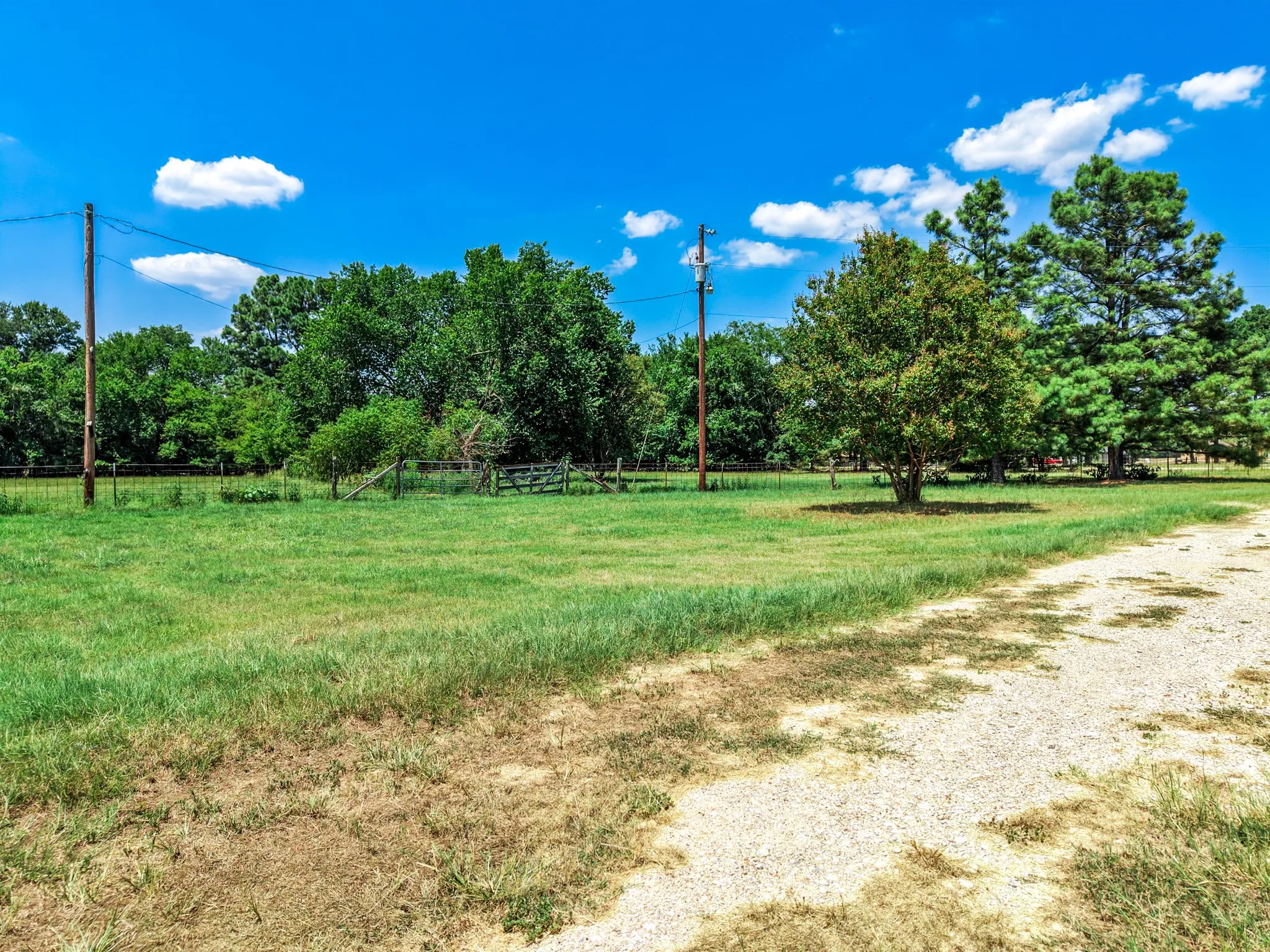 Improved Land For Sale in Kaufman County , 16488 Ranchette Road, Terrell, Texas 75161, 0, 0, Garage spaces, 0 Sqft, built in 1980, mls#21337742, Real Estate Agent in Terrell, Homes For Sale in Kaufman county, Homes For Sale in Terrell, Realtor in Terrell Texas, Real Estate Brokerage Independent Realty Texas, Luminita Cordes Realtor