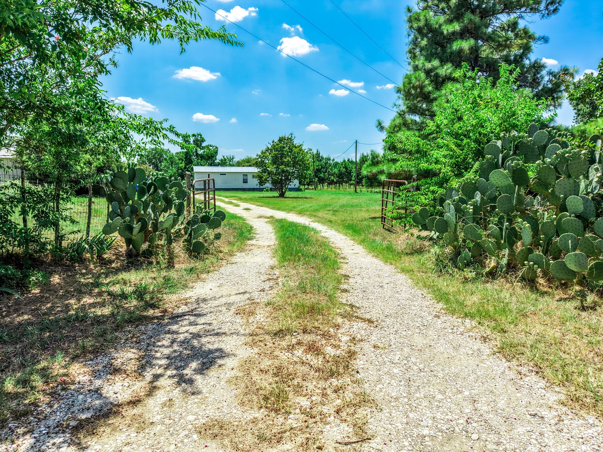 Improved Land For Sale in Kaufman County , 16488 Ranchette Road, Terrell, Texas 75161, 0, 0, Garage spaces, 0 Sqft, built in 1980, mls#21337742, Real Estate Agent in Terrell, Homes For Sale in Kaufman county, Homes For Sale in Terrell, Realtor in Terrell Texas, Real Estate Brokerage Independent Realty Texas, Luminita Cordes Realtor