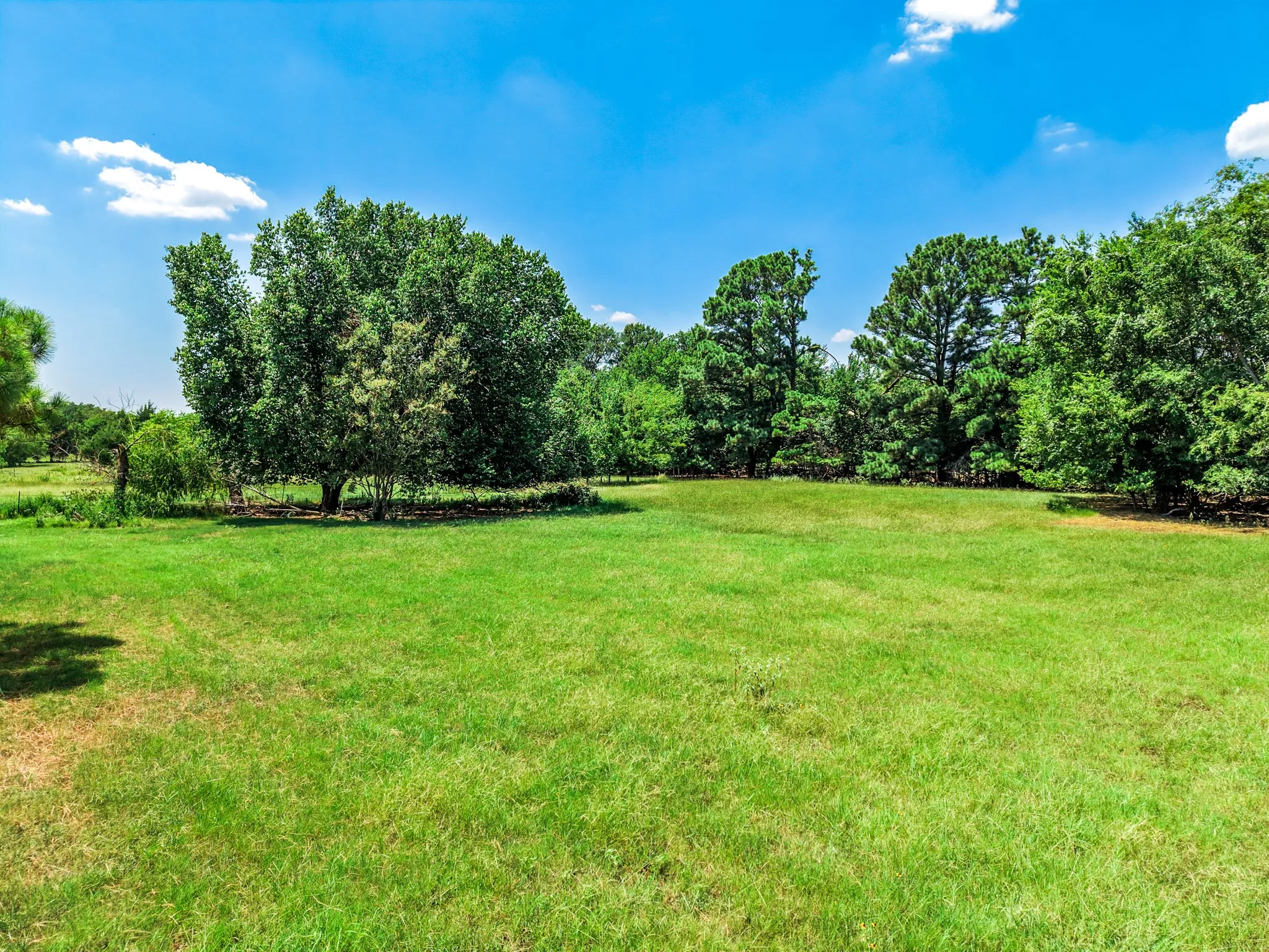 Improved Land For Sale in Kaufman County , 16488 Ranchette Road, Terrell, Texas 75161, 0, 0, Garage spaces, 0 Sqft, built in 1980, mls#21337742, Real Estate Agent in Terrell, Homes For Sale in Kaufman county, Homes For Sale in Terrell, Realtor in Terrell Texas, Real Estate Brokerage Independent Realty Texas, Luminita Cordes Realtor