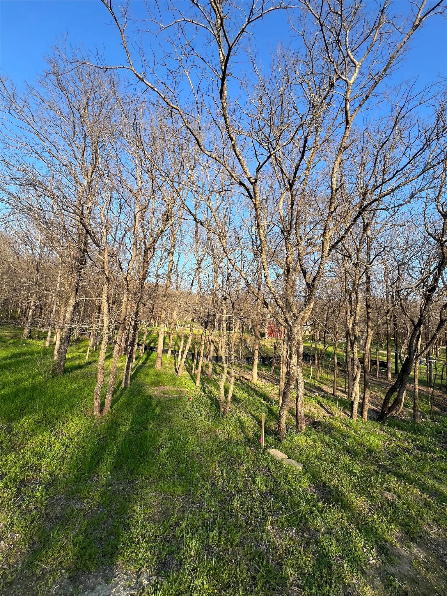 Unimproved Land For Sale in Denton County , 9220 Apache Trail, Flower Mound, Texas 75022, 0, 0, Garage spaces, 0 Sqft, built in 0, Price $199,000, mls#21339769, Real Estate Agent in Flower Mound, Homes For Sale in Denton county, Homes For Sale in Flower Mound, Realtor in Flower Mound Texas, Real Estate Brokerage Independent Realty Texas, Luminita Cordes Realtor