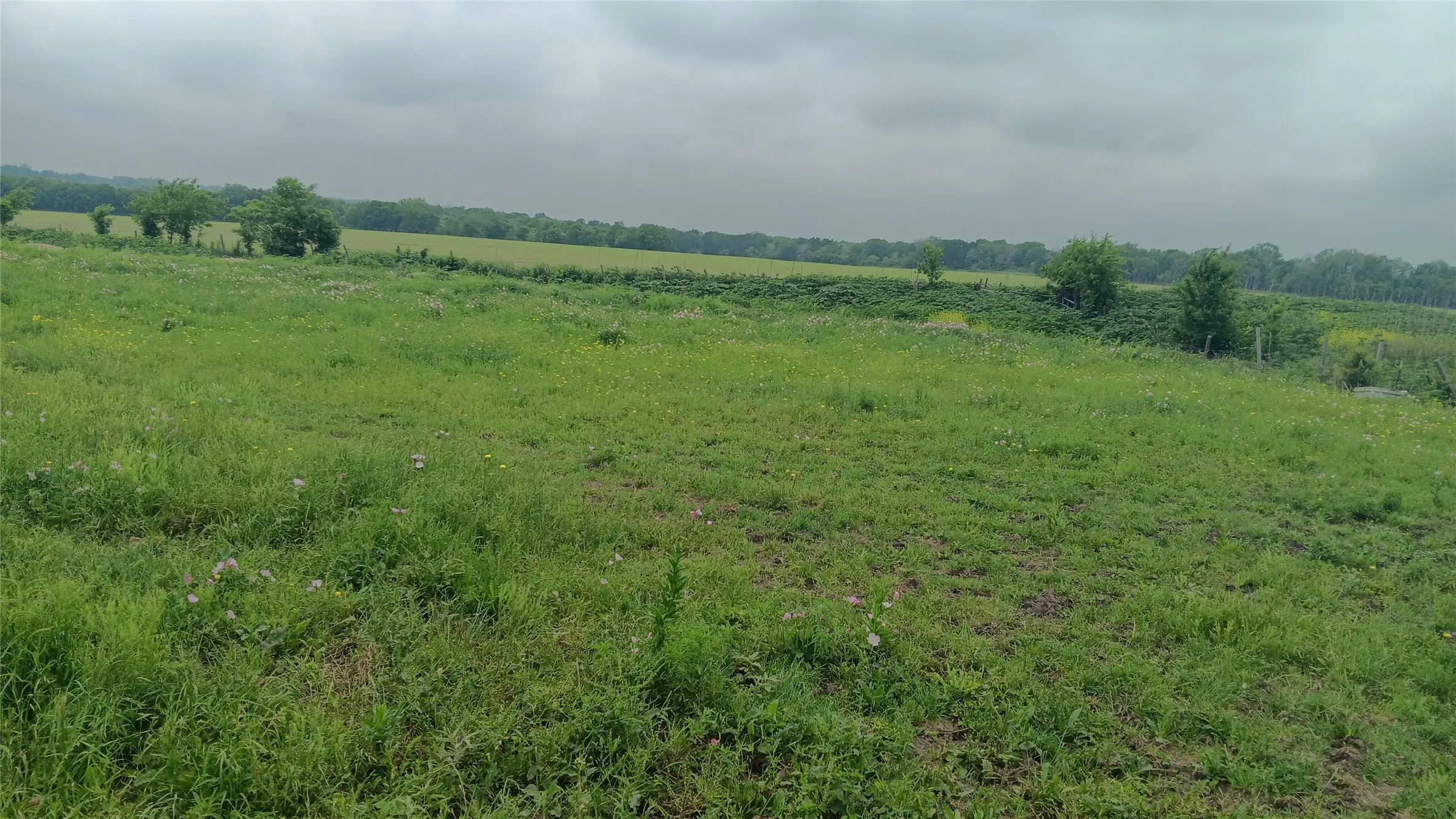 Ranch For Sale in Falls County , TBD. Hwy 7, Chilton, Texas 76632, 0, 0, Garage spaces, 0 Sqft, built in 0, Price $618,550, mls#21339765, Real Estate Agent in Chilton, Homes For Sale in Falls county, Homes For Sale in Chilton, Realtor in Chilton Texas, Real Estate Brokerage Independent Realty Texas, Luminita Cordes Realtor