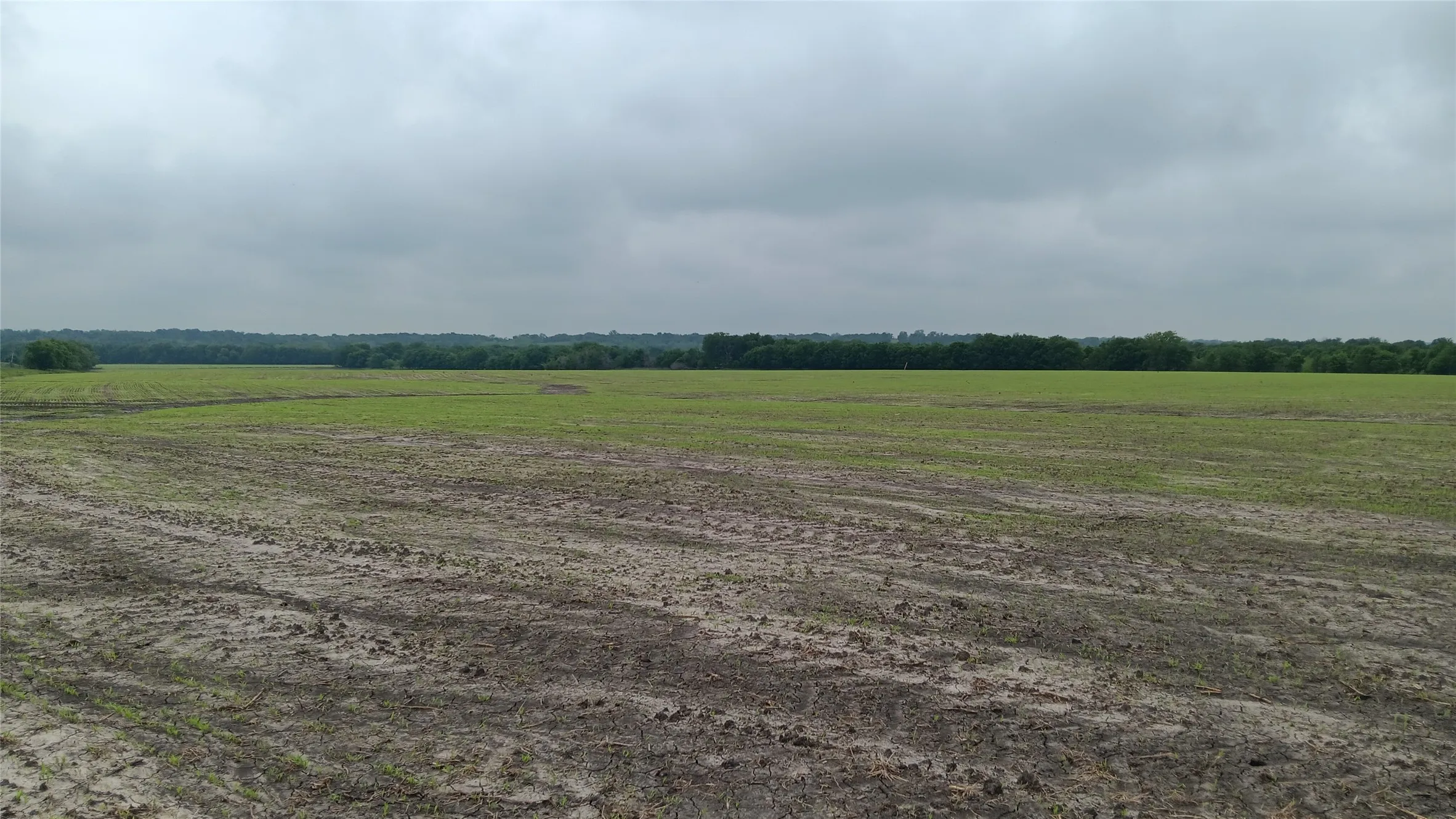 Ranch For Sale in Falls County , TBD. Hwy 7, Chilton, Texas 76632, 0, 0, Garage spaces, 0 Sqft, built in 0, Price $618,550, mls#21339765, Real Estate Agent in Chilton, Homes For Sale in Falls county, Homes For Sale in Chilton, Realtor in Chilton Texas, Real Estate Brokerage Independent Realty Texas, Luminita Cordes Realtor