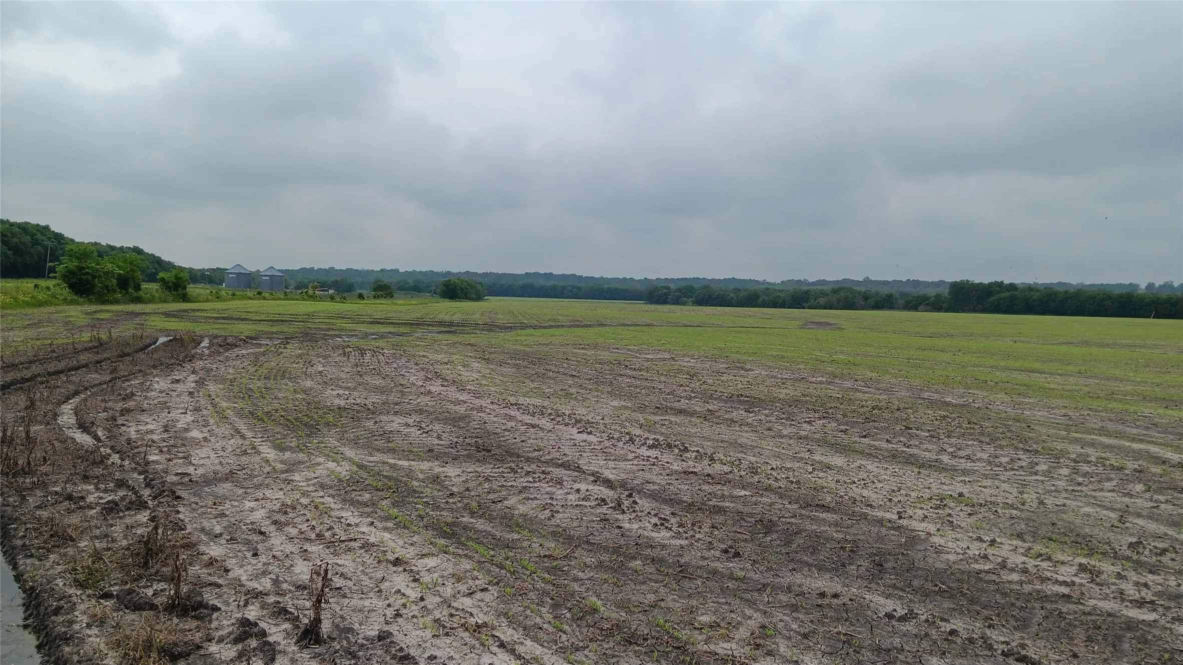 Ranch For Sale in Falls County , TBD. Hwy 7, Chilton, Texas 76632, 0, 0, Garage spaces, 0 Sqft, built in 0, Price $618,550, mls#21339765, Real Estate Agent in Chilton, Homes For Sale in Falls county, Homes For Sale in Chilton, Realtor in Chilton Texas, Real Estate Brokerage Independent Realty Texas, Luminita Cordes Realtor