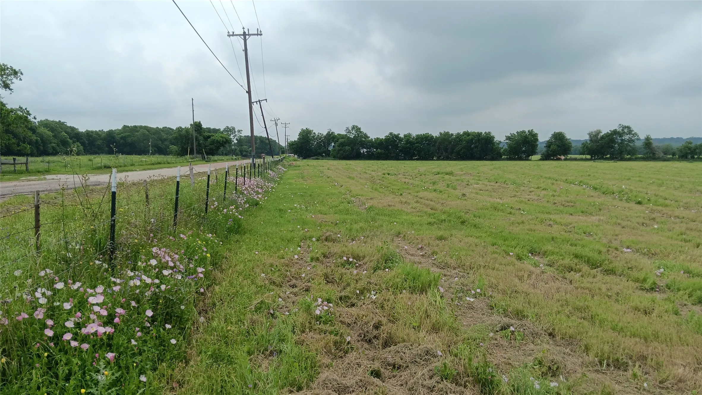 Ranch For Sale in Falls County , TBD. Hwy 7, Chilton, Texas 76632, 0, 0, Garage spaces, 0 Sqft, built in 0, Price $618,550, mls#21339765, Real Estate Agent in Chilton, Homes For Sale in Falls county, Homes For Sale in Chilton, Realtor in Chilton Texas, Real Estate Brokerage Independent Realty Texas, Luminita Cordes Realtor