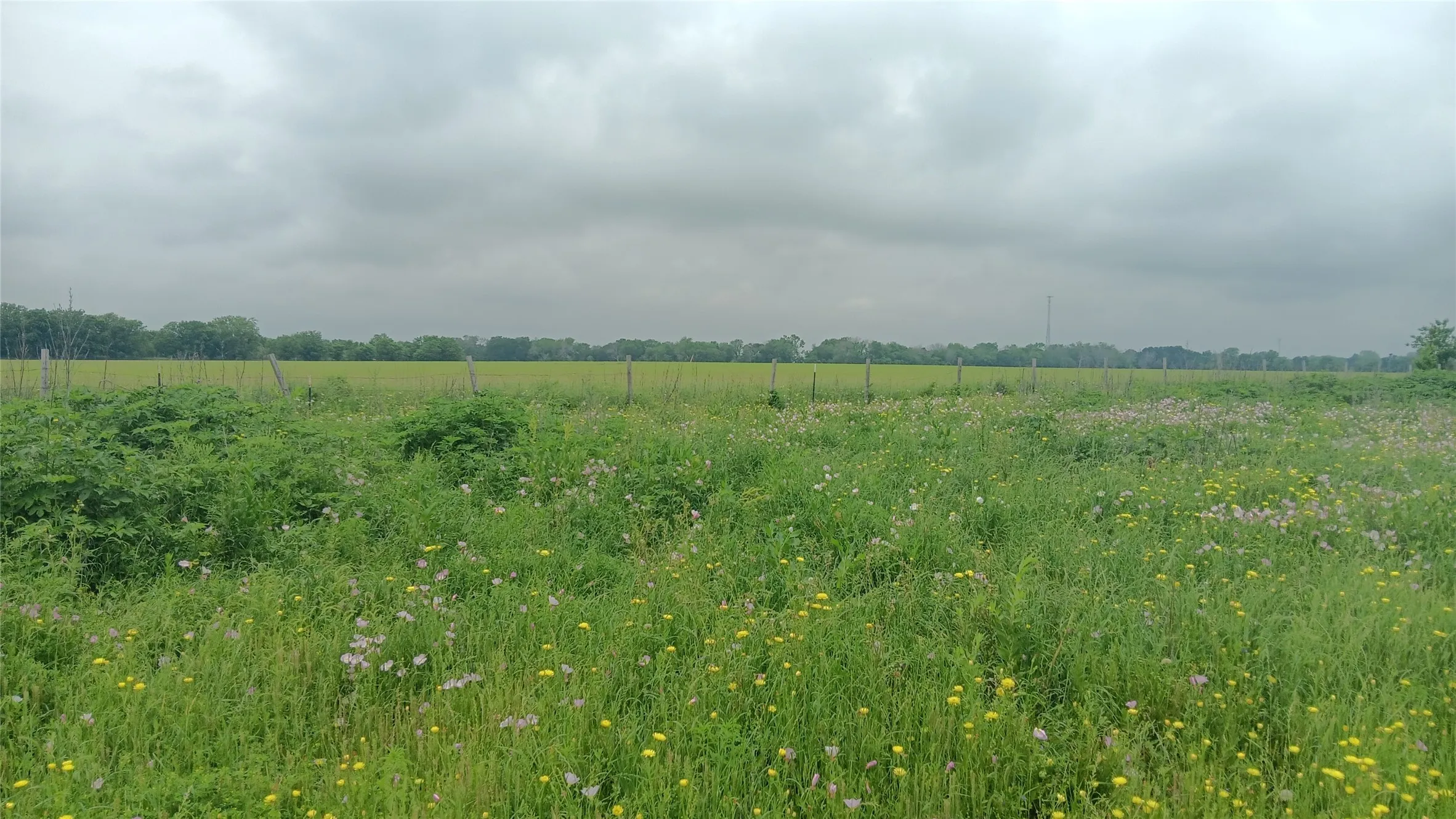 Ranch For Sale in Falls County , TBD. Hwy 7, Chilton, Texas 76632, 0, 0, Garage spaces, 0 Sqft, built in 0, Price $618,550, mls#21339765, Real Estate Agent in Chilton, Homes For Sale in Falls county, Homes For Sale in Chilton, Realtor in Chilton Texas, Real Estate Brokerage Independent Realty Texas, Luminita Cordes Realtor