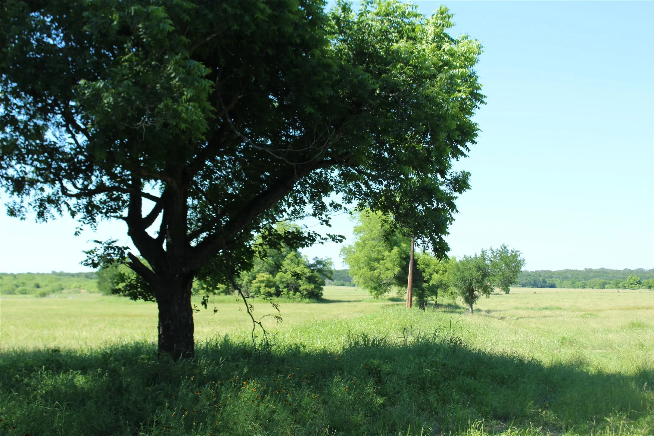 Ranch For Sale in Coryell County , TBD Hay Valley Road, Gatesville, Texas 76528, 0, 0, Garage spaces, 0 Sqft, built in 0, mls#21330177, Real Estate Agent in Gatesville, Homes For Sale in Coryell county, Homes For Sale in Gatesville, Realtor in Gatesville Texas, Real Estate Brokerage Independent Realty Texas, Luminita Cordes Realtor