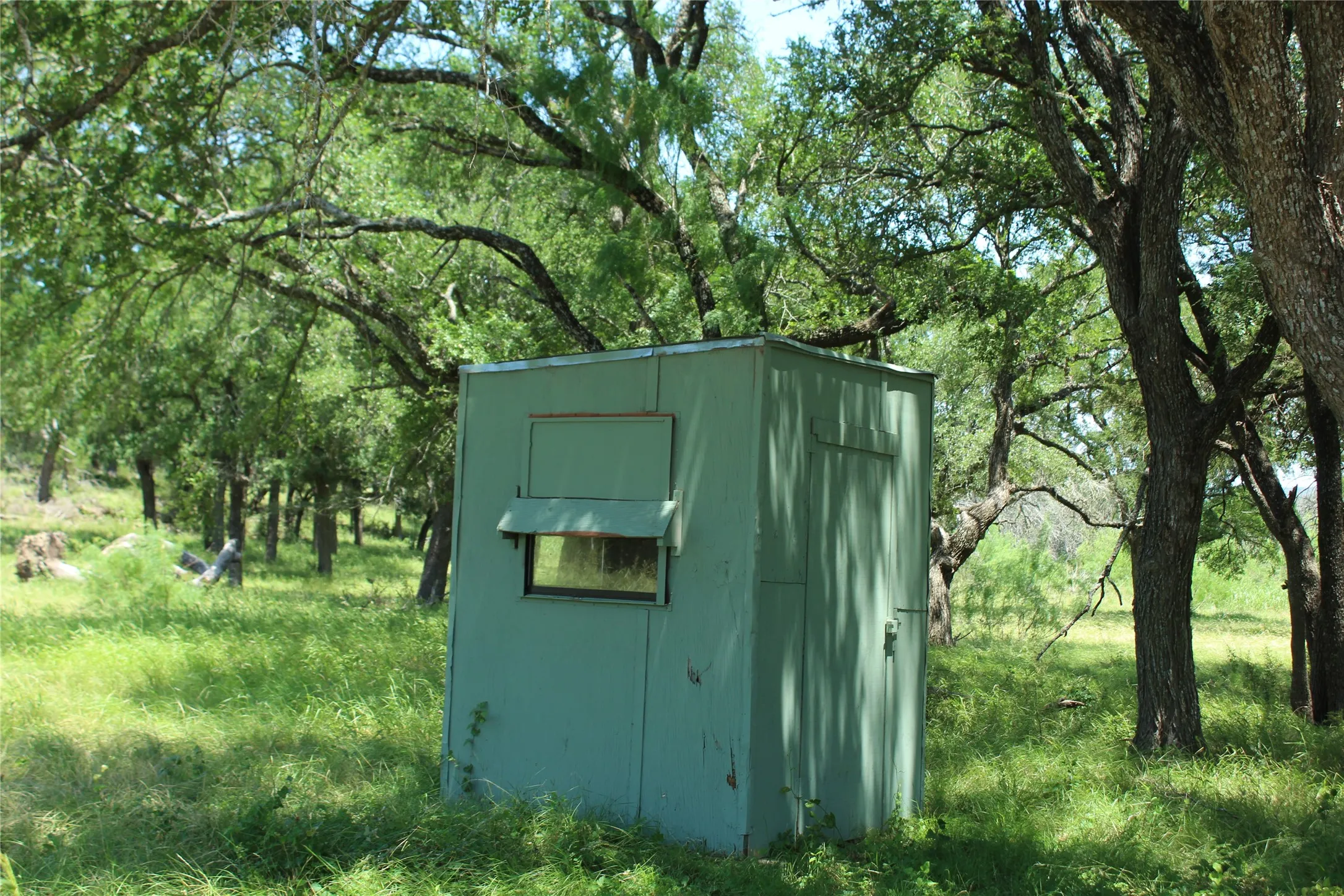 Ranch For Sale in Coryell County , TBD Hay Valley Road, Gatesville, Texas 76528, 0, 0, Garage spaces, 0 Sqft, built in 0, mls#21330177, Real Estate Agent in Gatesville, Homes For Sale in Coryell county, Homes For Sale in Gatesville, Realtor in Gatesville Texas, Real Estate Brokerage Independent Realty Texas, Luminita Cordes Realtor