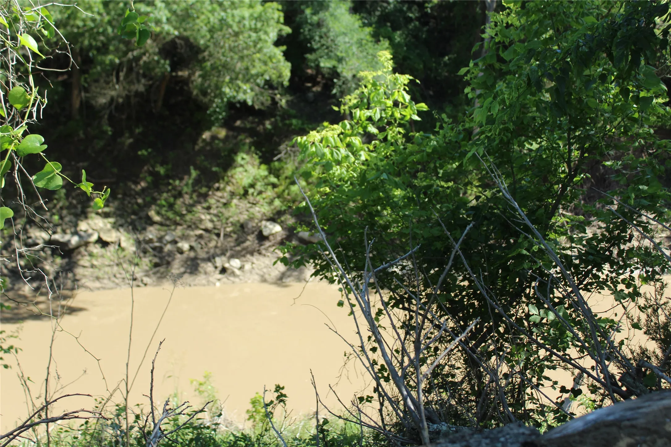Ranch For Sale in Coryell County , TBD Hay Valley Road, Gatesville, Texas 76528, 0, 0, Garage spaces, 0 Sqft, built in 0, mls#21330177, Real Estate Agent in Gatesville, Homes For Sale in Coryell county, Homes For Sale in Gatesville, Realtor in Gatesville Texas, Real Estate Brokerage Independent Realty Texas, Luminita Cordes Realtor