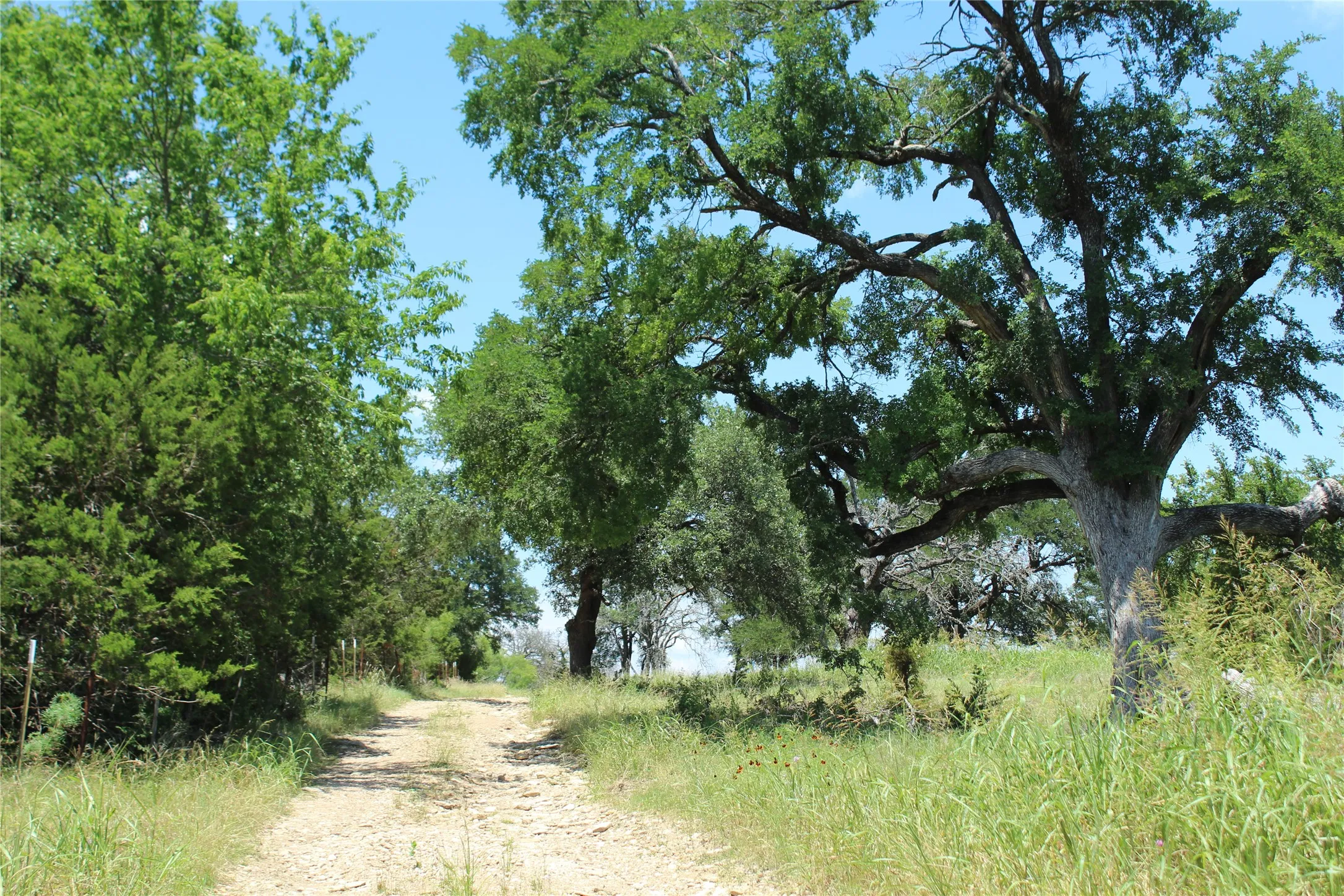 Ranch For Sale in Coryell County , TBD Hay Valley Road, Gatesville, Texas 76528, 0, 0, Garage spaces, 0 Sqft, built in 0, mls#21330177, Real Estate Agent in Gatesville, Homes For Sale in Coryell county, Homes For Sale in Gatesville, Realtor in Gatesville Texas, Real Estate Brokerage Independent Realty Texas, Luminita Cordes Realtor