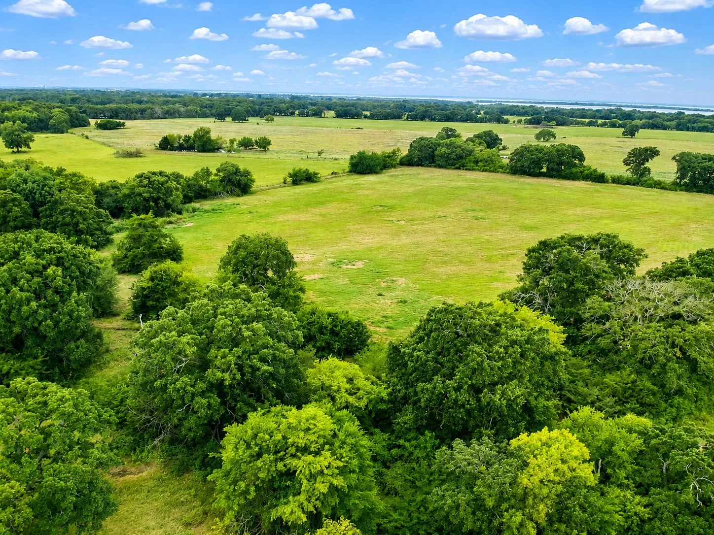Expansive green pastures featuring scattered mature trees and distant water