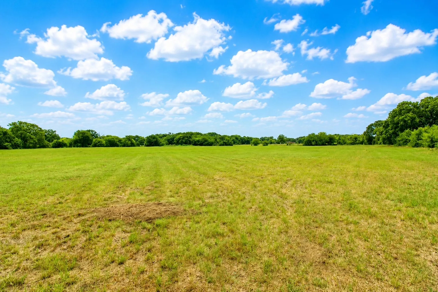 Expansive open field with green grass, bordered by a dense line of mature trees