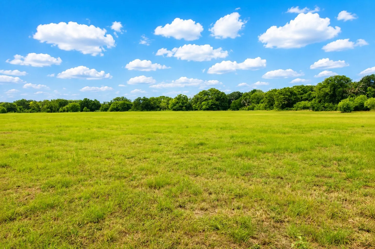 Unimproved Land For Sale in Kaufman County , 8401 S Fm 148, Scurry, Texas 75158, 0, 0, Garage spaces, 0 Sqft, built in 0, mls#21336495, Real Estate Agent in Scurry, Homes For Sale in Kaufman county, Homes For Sale in Scurry, Realtor in Scurry Texas, Real Estate Brokerage Independent Realty Texas, Luminita Cordes Realtor