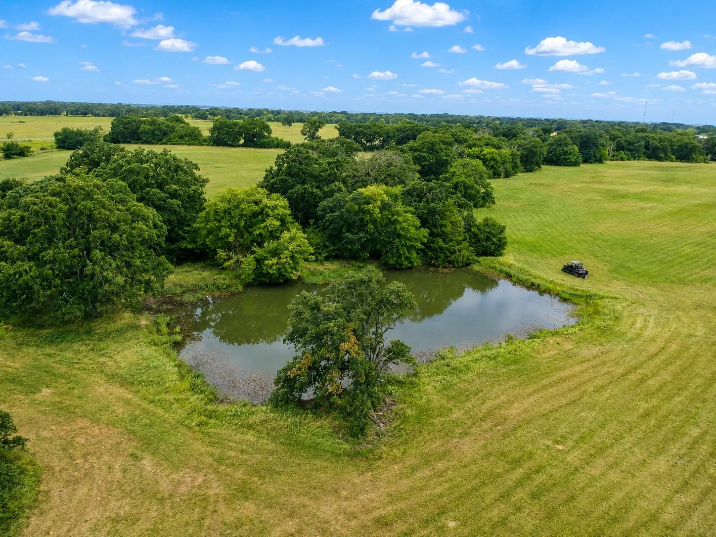 Expansive green acreage featuring a natural pond, mature trees, and open fields