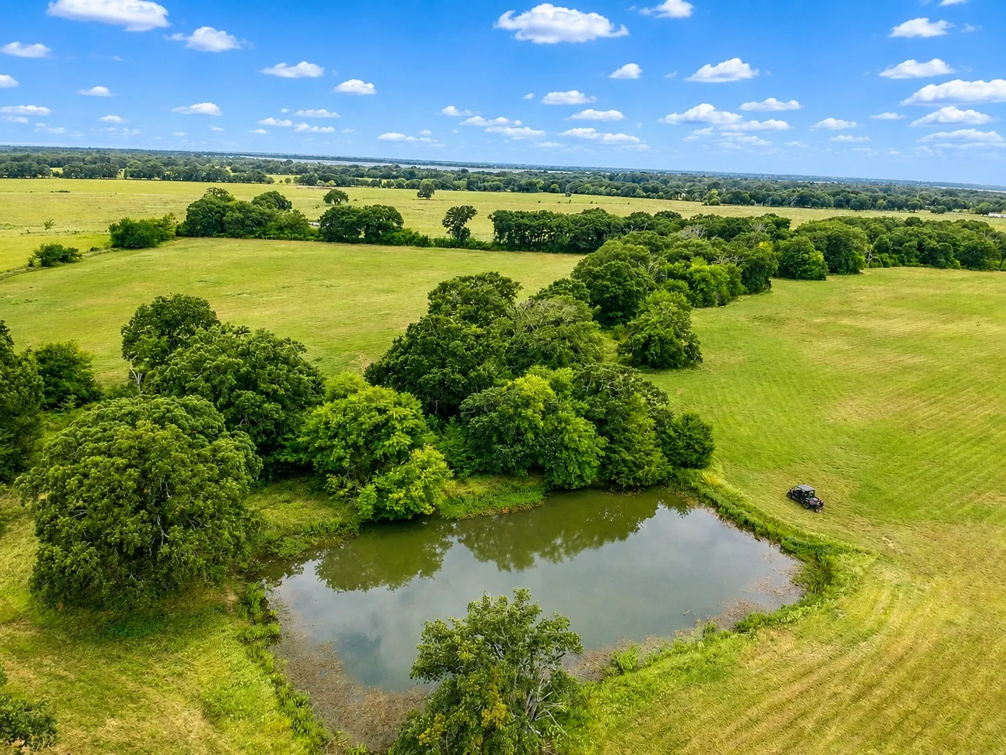 Expansive green acreage featuring a tranquil pond, mature trees, and open fields under a blue sky with scattered clouds