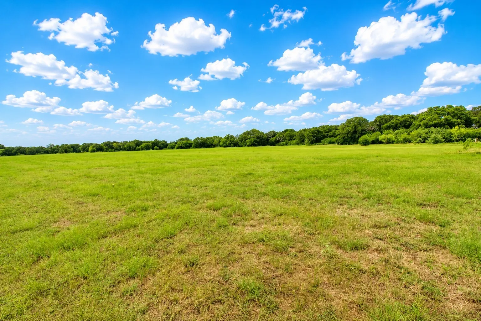 Unimproved Land For Sale in Kaufman County , 8401 S Fm 148, Scurry, Texas 75158, 0, 0, Garage spaces, 0 Sqft, built in 0, mls#21336495, Real Estate Agent in Scurry, Homes For Sale in Kaufman county, Homes For Sale in Scurry, Realtor in Scurry Texas, Real Estate Brokerage Independent Realty Texas, Luminita Cordes Realtor
