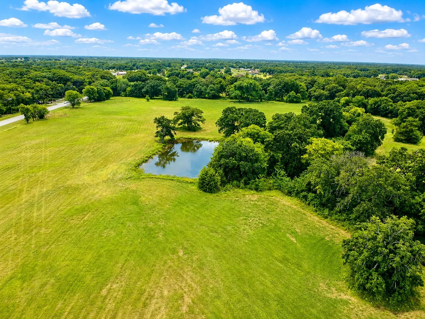 Expansive green acreage featuring a natural pond and mature trees