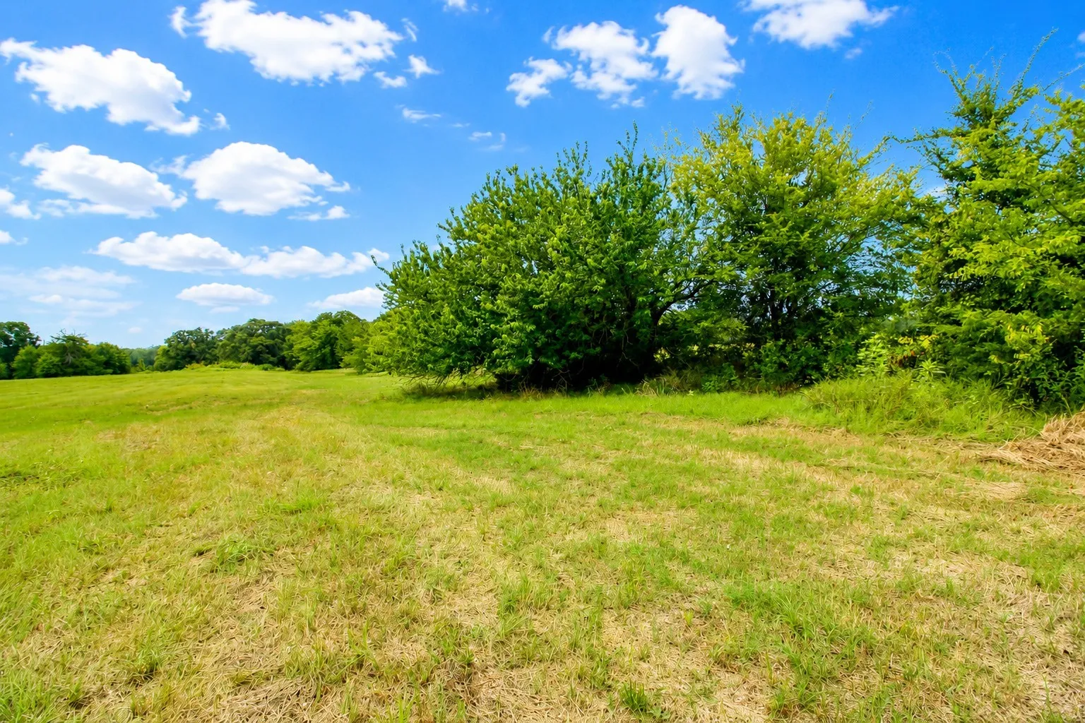 Unimproved Land For Sale in Kaufman County , 8401 S Fm 148, Scurry, Texas 75158, 0, 0, Garage spaces, 0 Sqft, built in 0, mls#21336495, Real Estate Agent in Scurry, Homes For Sale in Kaufman county, Homes For Sale in Scurry, Realtor in Scurry Texas, Real Estate Brokerage Independent Realty Texas, Luminita Cordes Realtor