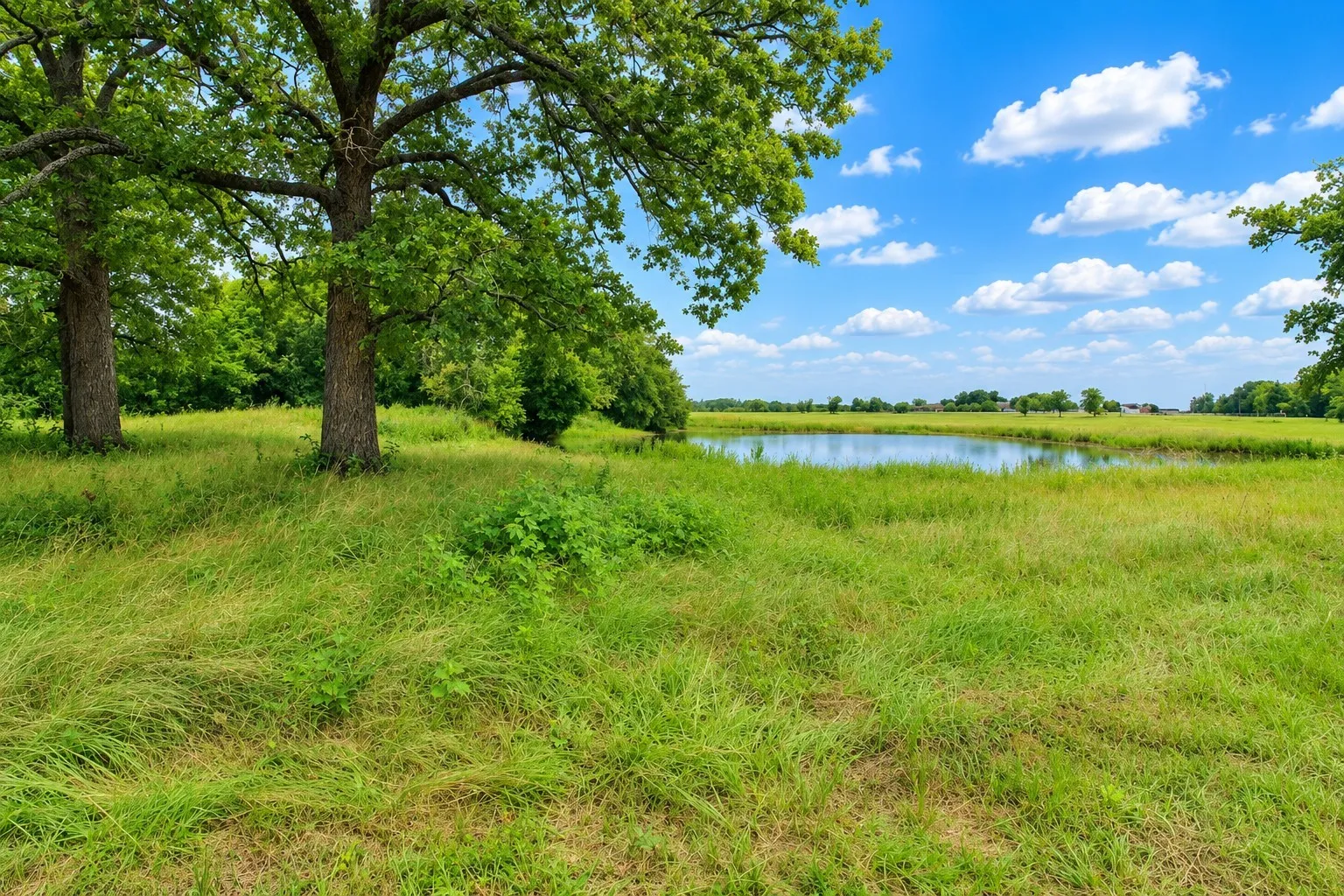 Unimproved Land For Sale in Kaufman County , 8401 S Fm 148, Scurry, Texas 75158, 0, 0, Garage spaces, 0 Sqft, built in 0, mls#21336495, Real Estate Agent in Scurry, Homes For Sale in Kaufman county, Homes For Sale in Scurry, Realtor in Scurry Texas, Real Estate Brokerage Independent Realty Texas, Luminita Cordes Realtor