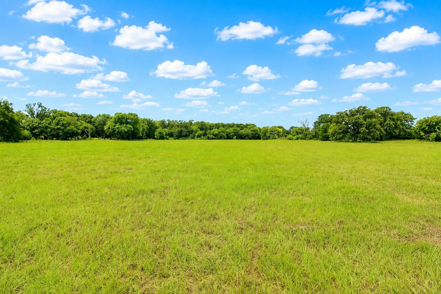 Expansive green field bordered by mature trees under a clear sky