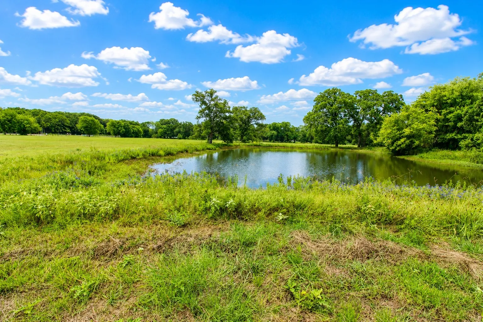 Expansive acreage featuring a private pond surrounded by mature trees and lush green landscaping