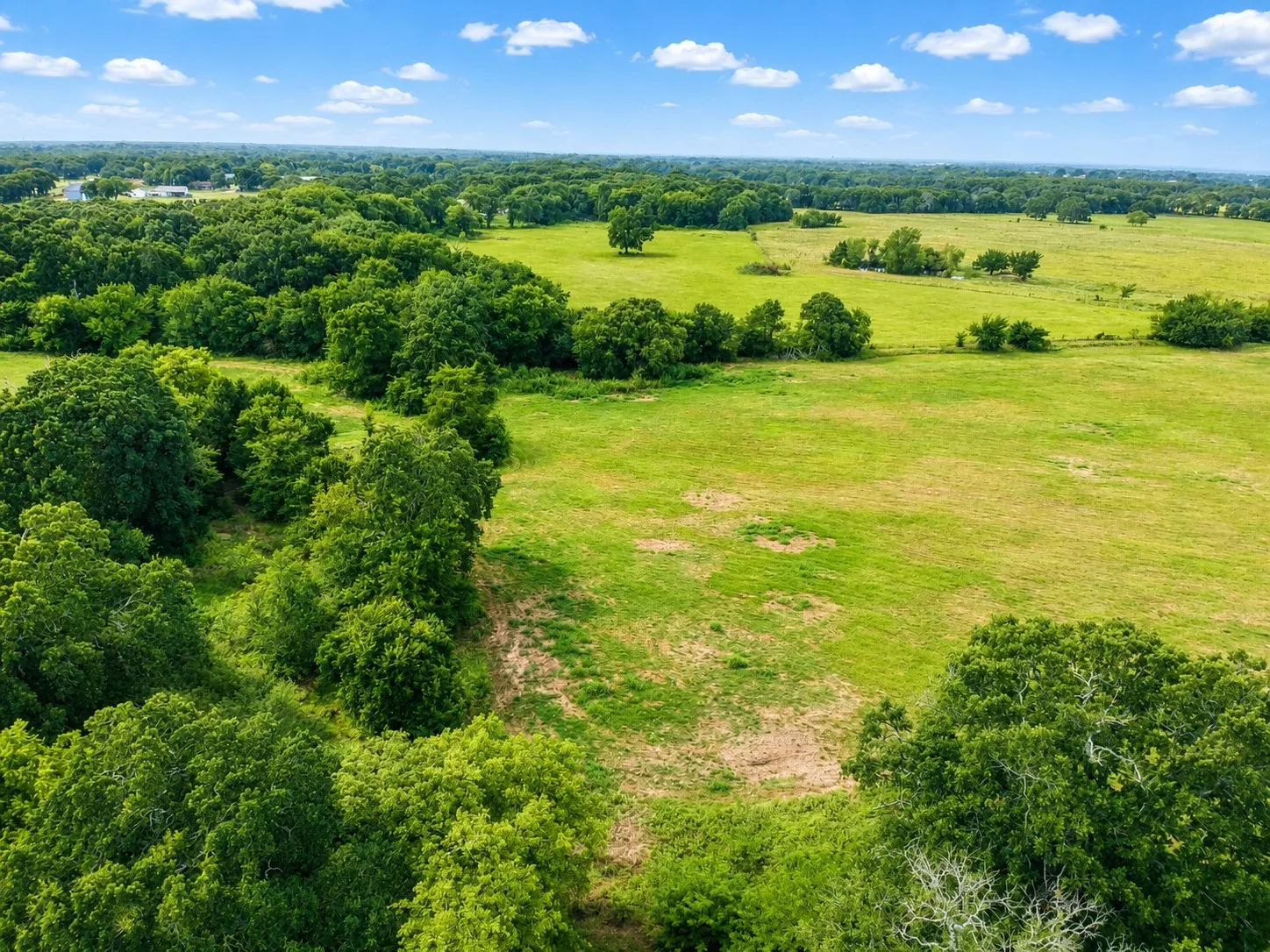 Expansive green acreage featuring scattered trees and a clear sky