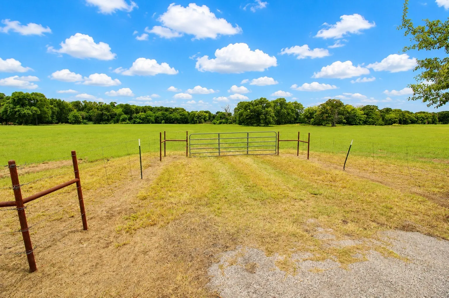 Expansive green acreage featuring a perimeter fence and metal gate, bordered by mature trees
