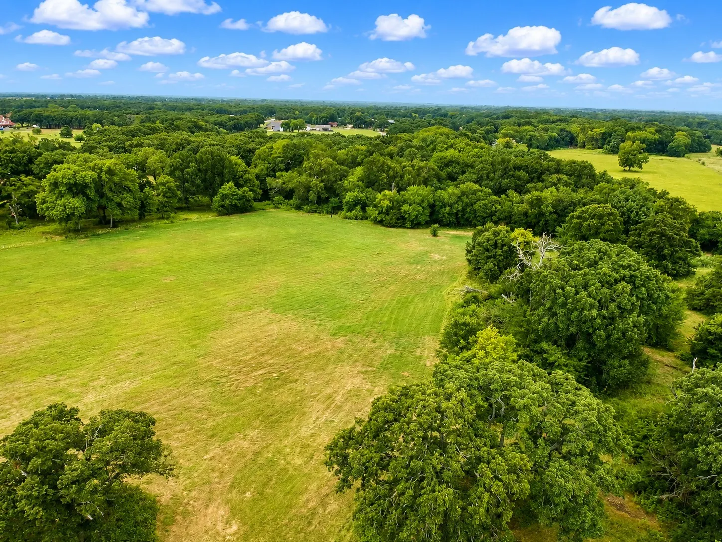 Expansive green fields bordered by mature tree lines