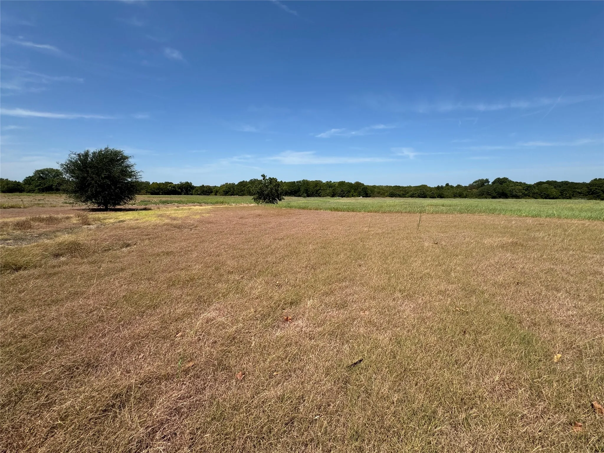 Improved Land For Sale in Ellis County , 1801 Christian Road, Ennis, Texas 75119, 0, 0, Garage spaces, 0 Sqft, built in 0, mls#21339822, Real Estate Agent in Ennis, Homes For Sale in Ellis county, Homes For Sale in Ennis, Realtor in Ennis Texas, Real Estate Brokerage Independent Realty Texas, Luminita Cordes Realtor
