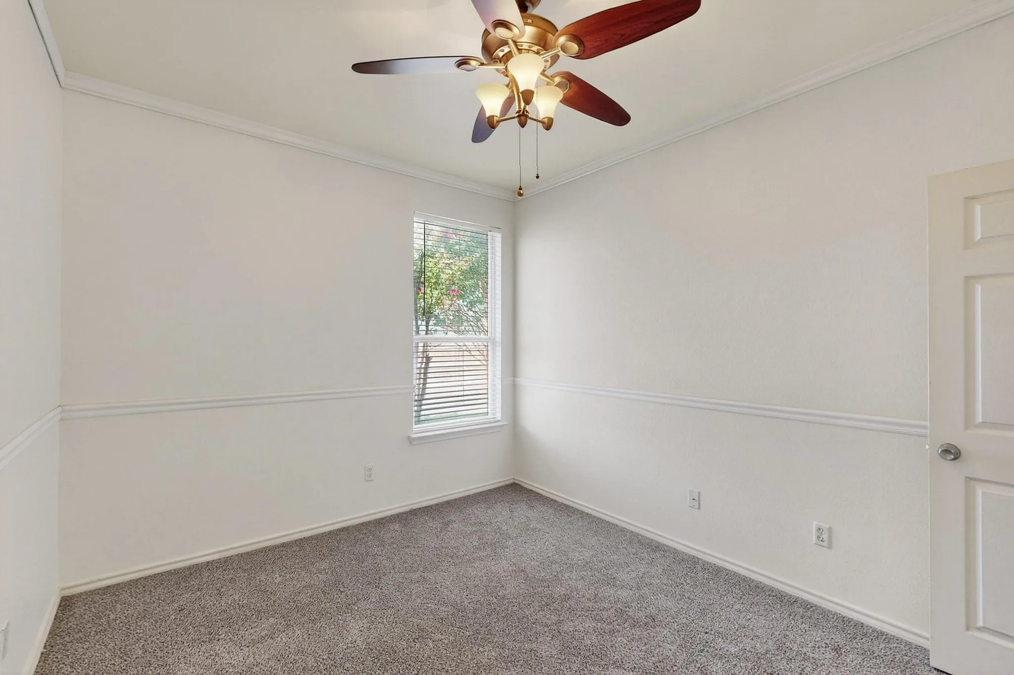 Carpeted empty room featuring crown molding and a ceiling fan