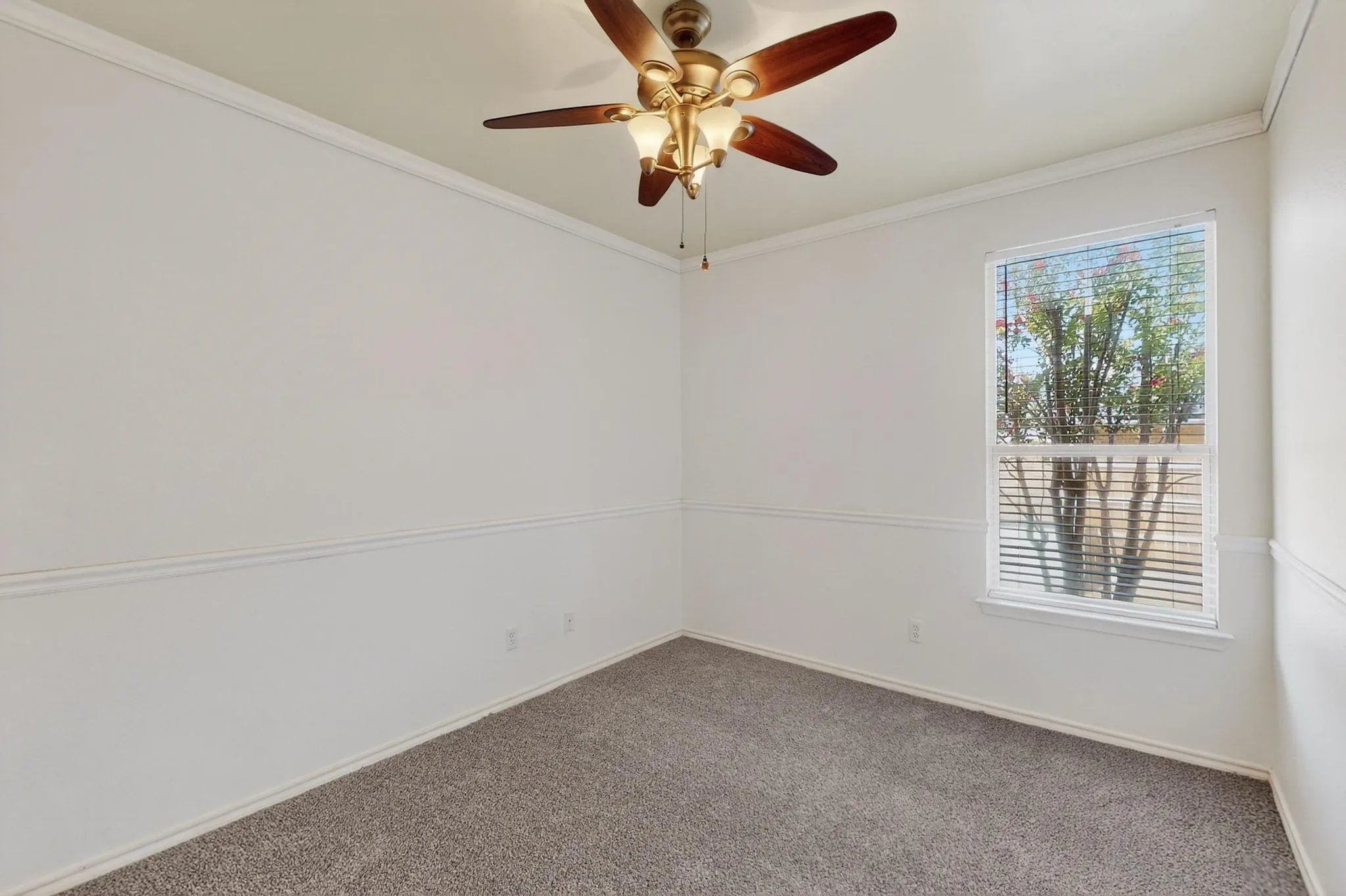 Spare room featuring carpet flooring, healthy amount of natural light, ceiling fan, and ornamental molding