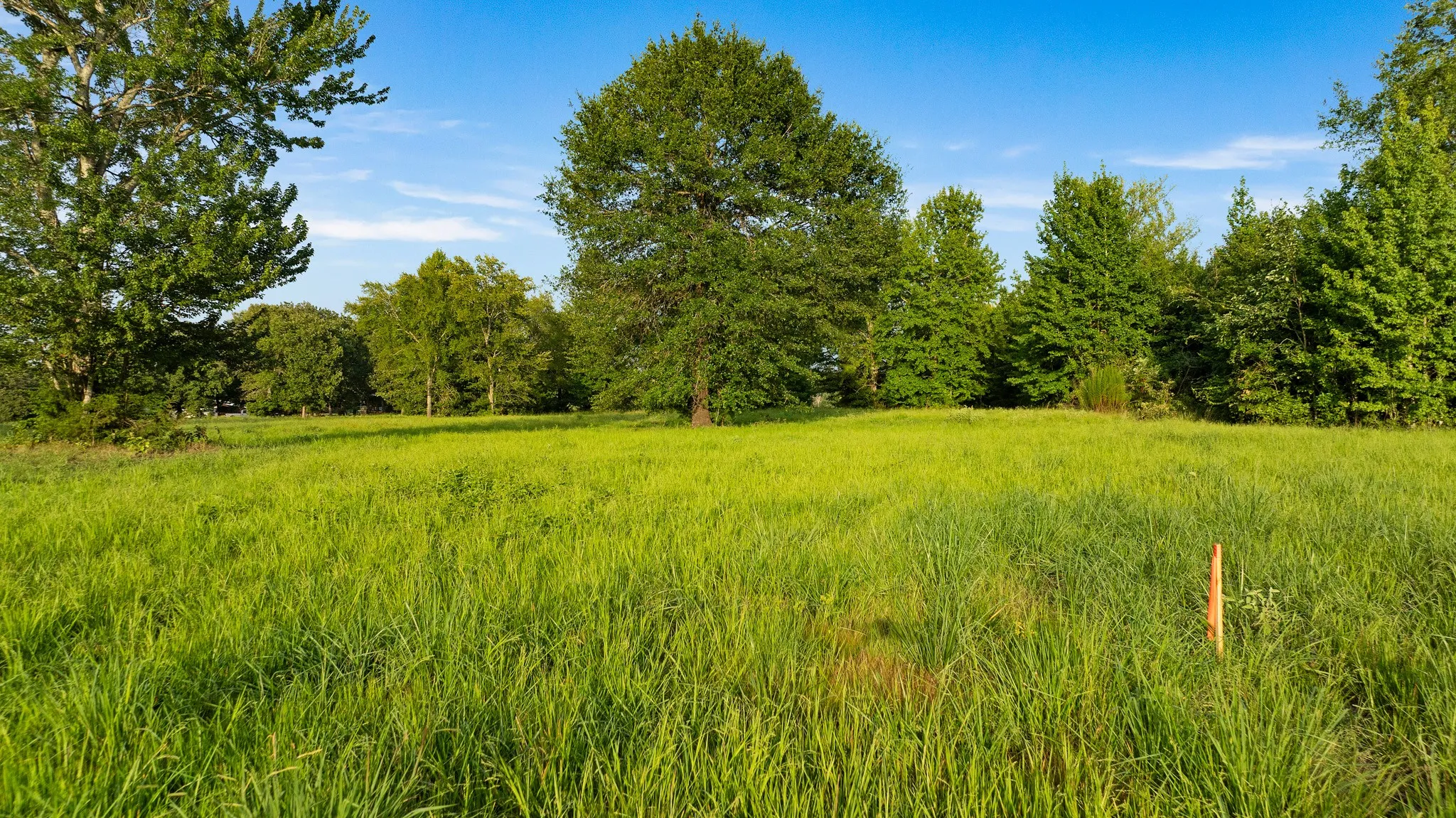Unimproved Land For Sale in Lamar County , TRACT B PR 43299, Powderly, Texas 74743, 0, 0, Garage spaces, 0 Sqft, built in 0, Price $287,115, mls#21338663, Real Estate Agent in Powderly, Homes For Sale in Lamar county, Homes For Sale in Powderly, Realtor in Powderly Texas, Real Estate Brokerage Independent Realty Texas, Luminita Cordes Realtor