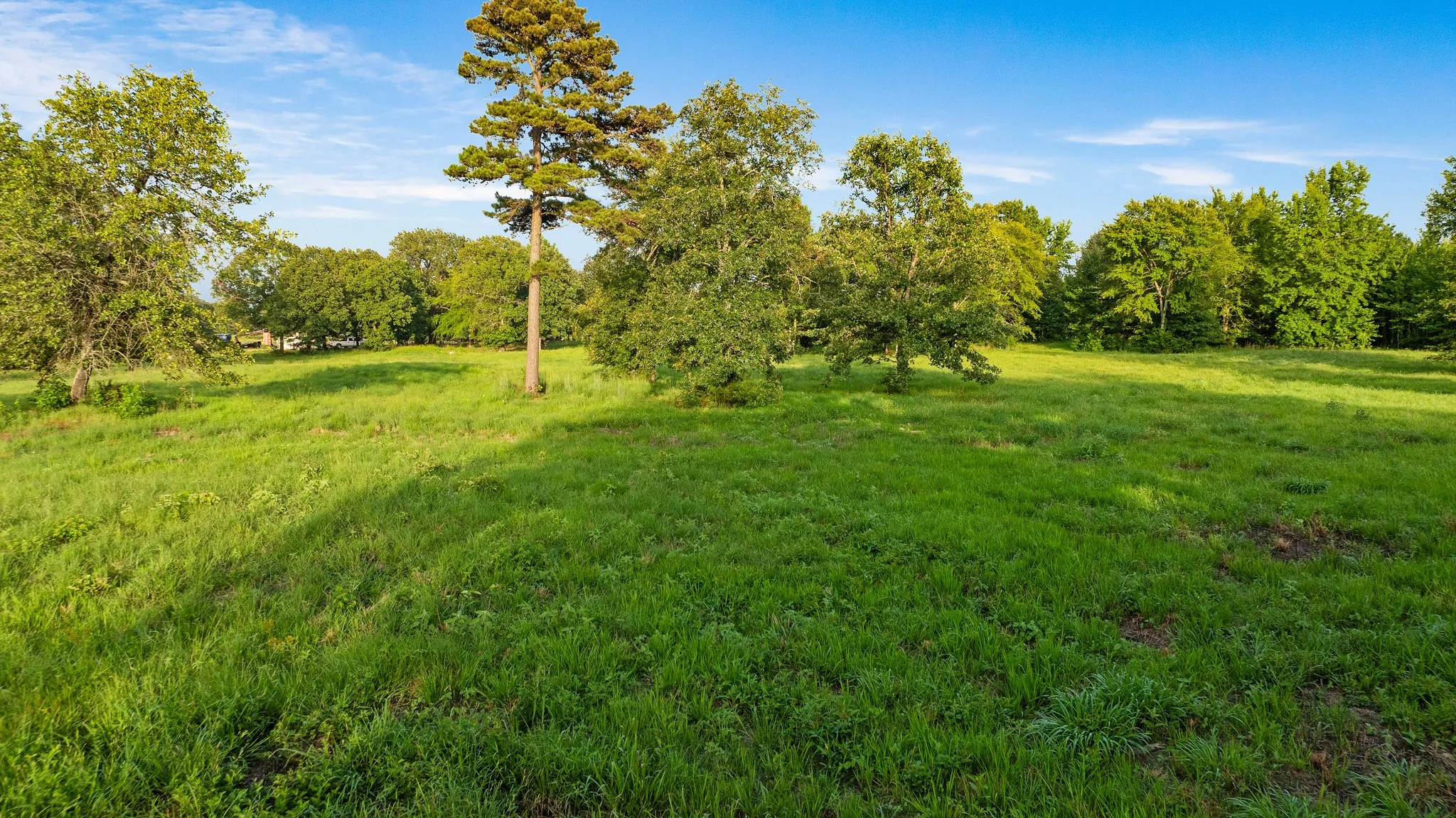 Unimproved Land For Sale in Lamar County , TRACT B PR 43299, Powderly, Texas 74743, 0, 0, Garage spaces, 0 Sqft, built in 0, Price $287,115, mls#21338663, Real Estate Agent in Powderly, Homes For Sale in Lamar county, Homes For Sale in Powderly, Realtor in Powderly Texas, Real Estate Brokerage Independent Realty Texas, Luminita Cordes Realtor