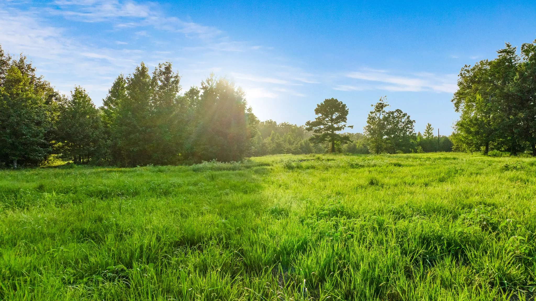 Unimproved Land For Sale in Lamar County , TRACT B PR 43299, Powderly, Texas 74743, 0, 0, Garage spaces, 0 Sqft, built in 0, Price $287,115, mls#21338663, Real Estate Agent in Powderly, Homes For Sale in Lamar county, Homes For Sale in Powderly, Realtor in Powderly Texas, Real Estate Brokerage Independent Realty Texas, Luminita Cordes Realtor