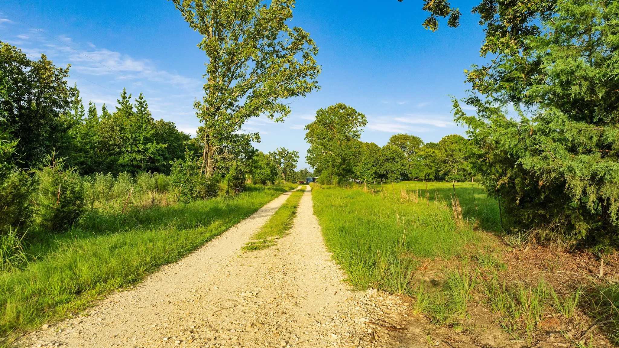 Unimproved Land For Sale in Lamar County , TRACT B PR 43299, Powderly, Texas 74743, 0, 0, Garage spaces, 0 Sqft, built in 0, Price $287,115, mls#21338663, Real Estate Agent in Powderly, Homes For Sale in Lamar county, Homes For Sale in Powderly, Realtor in Powderly Texas, Real Estate Brokerage Independent Realty Texas, Luminita Cordes Realtor