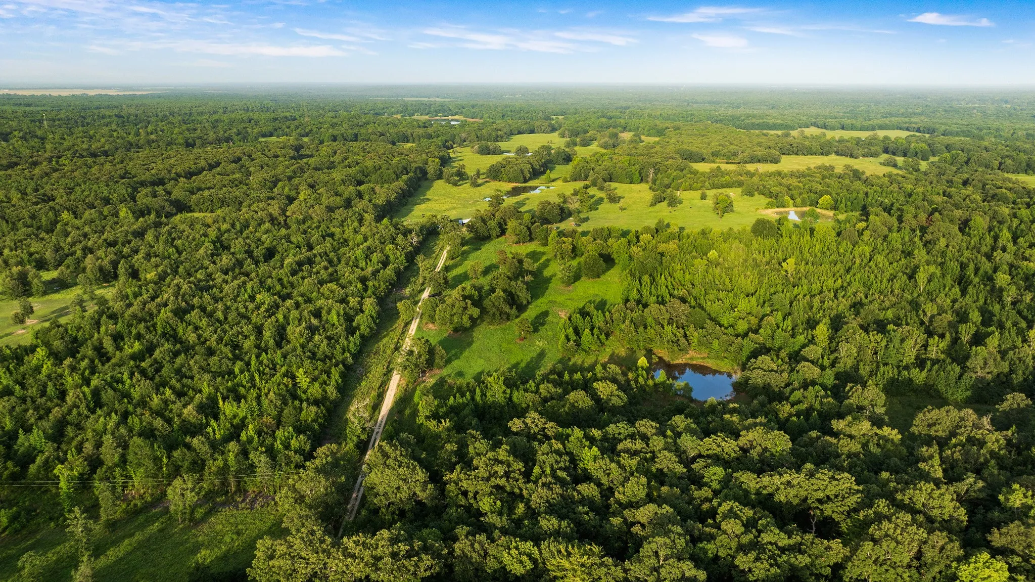 Unimproved Land For Sale in Lamar County , TRACT B PR 43299, Powderly, Texas 74743, 0, 0, Garage spaces, 0 Sqft, built in 0, Price $287,115, mls#21338663, Real Estate Agent in Powderly, Homes For Sale in Lamar county, Homes For Sale in Powderly, Realtor in Powderly Texas, Real Estate Brokerage Independent Realty Texas, Luminita Cordes Realtor