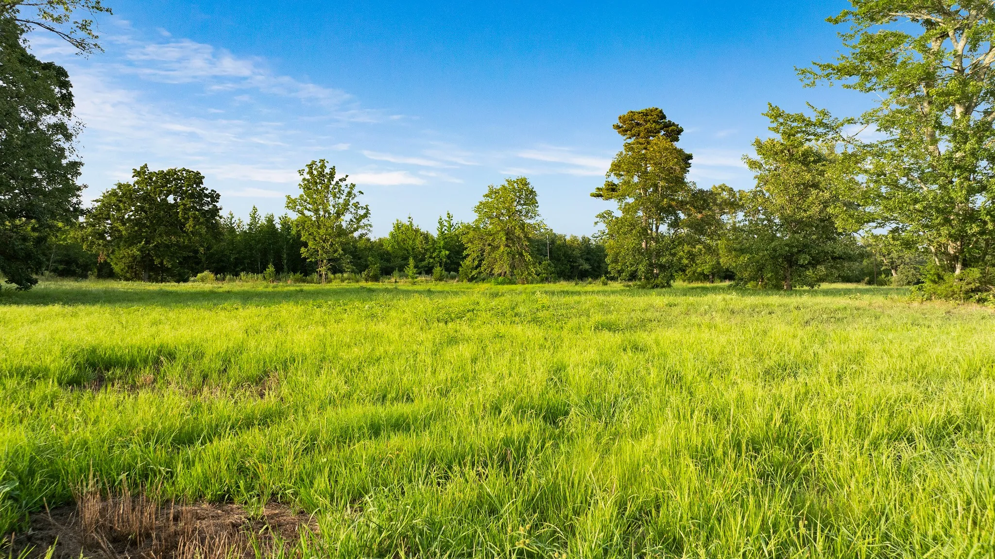 Unimproved Land For Sale in Lamar County , TRACT B PR 43299, Powderly, Texas 74743, 0, 0, Garage spaces, 0 Sqft, built in 0, Price $287,115, mls#21338663, Real Estate Agent in Powderly, Homes For Sale in Lamar county, Homes For Sale in Powderly, Realtor in Powderly Texas, Real Estate Brokerage Independent Realty Texas, Luminita Cordes Realtor