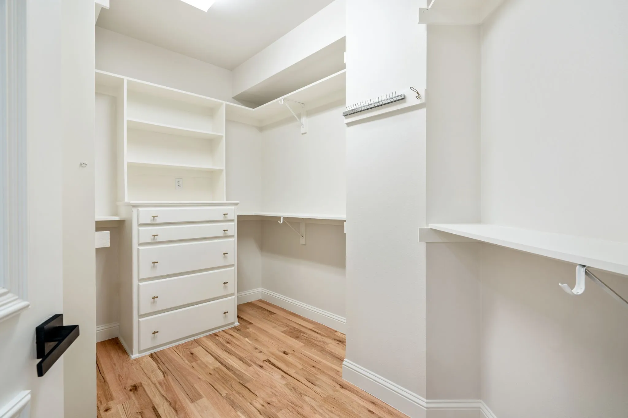 Walk in closet with light wood-style flooring