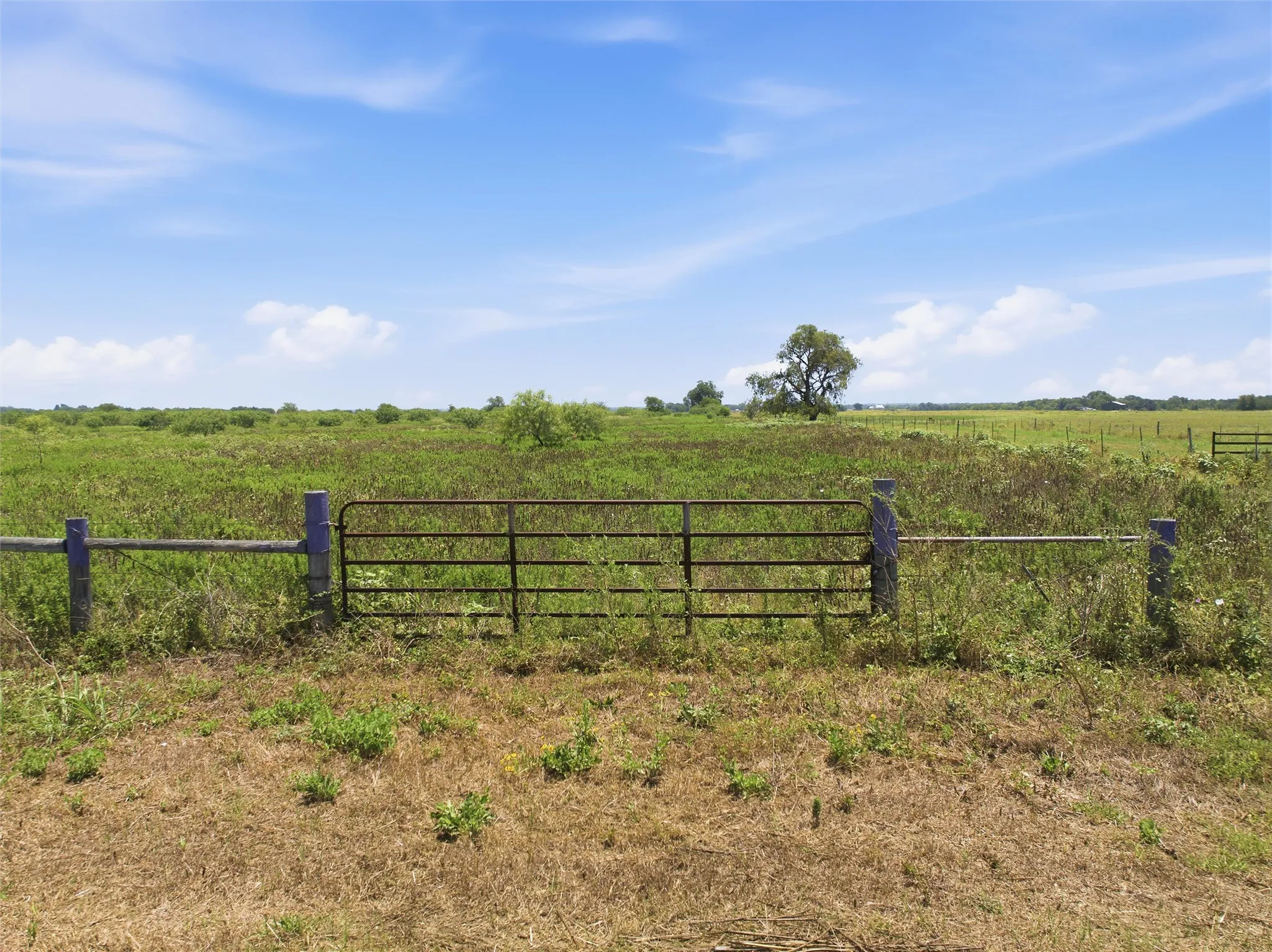 Ranch For Sale in Milam County , TBD FM 1600, Cameron, Texas 76520, 0, 0, Garage spaces, 0 Sqft, built in 0, Price $300,000, mls#21339883, Real Estate Agent in Cameron, Homes For Sale in Milam county, Homes For Sale in Cameron, Realtor in Cameron Texas, Real Estate Brokerage Independent Realty Texas, Luminita Cordes Realtor