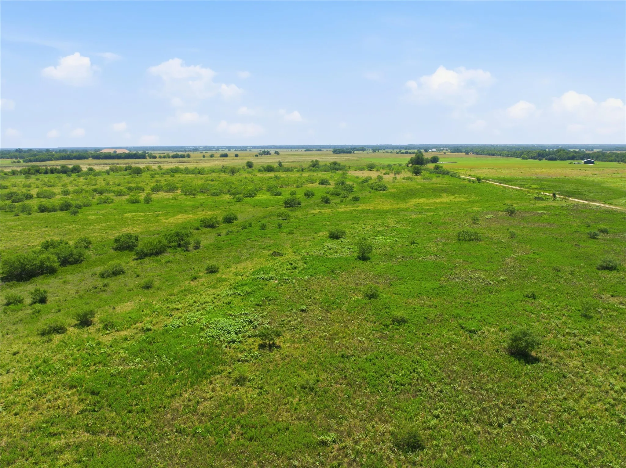 Ranch For Sale in Milam County , TBD FM 1600, Cameron, Texas 76520, 0, 0, Garage spaces, 0 Sqft, built in 0, Price $300,000, mls#21339883, Real Estate Agent in Cameron, Homes For Sale in Milam county, Homes For Sale in Cameron, Realtor in Cameron Texas, Real Estate Brokerage Independent Realty Texas, Luminita Cordes Realtor