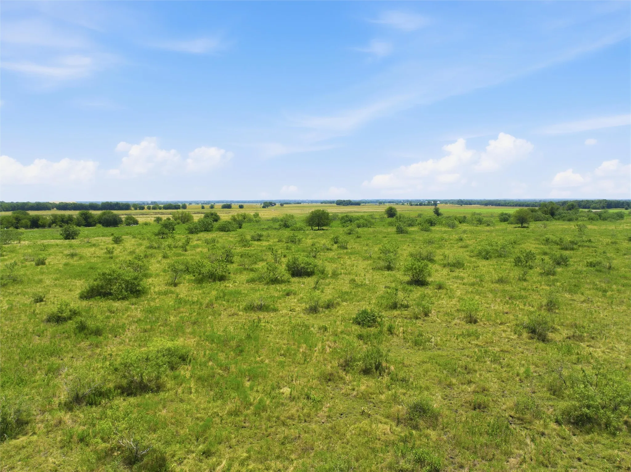Expansive green landscape featuring varied brush and mature trees under a clear sky